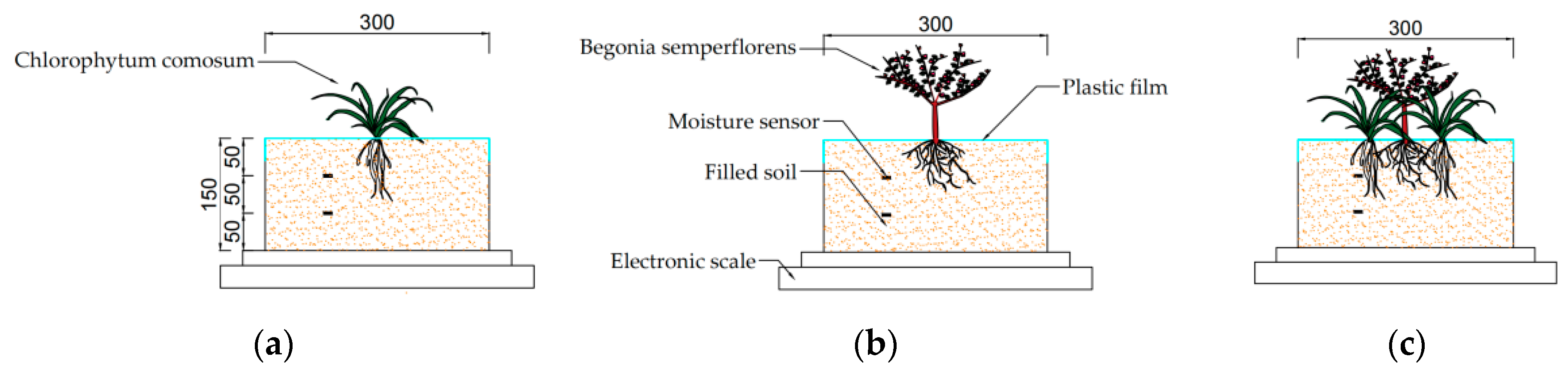 Water 15 01576 g004 Water 15 01576 g004