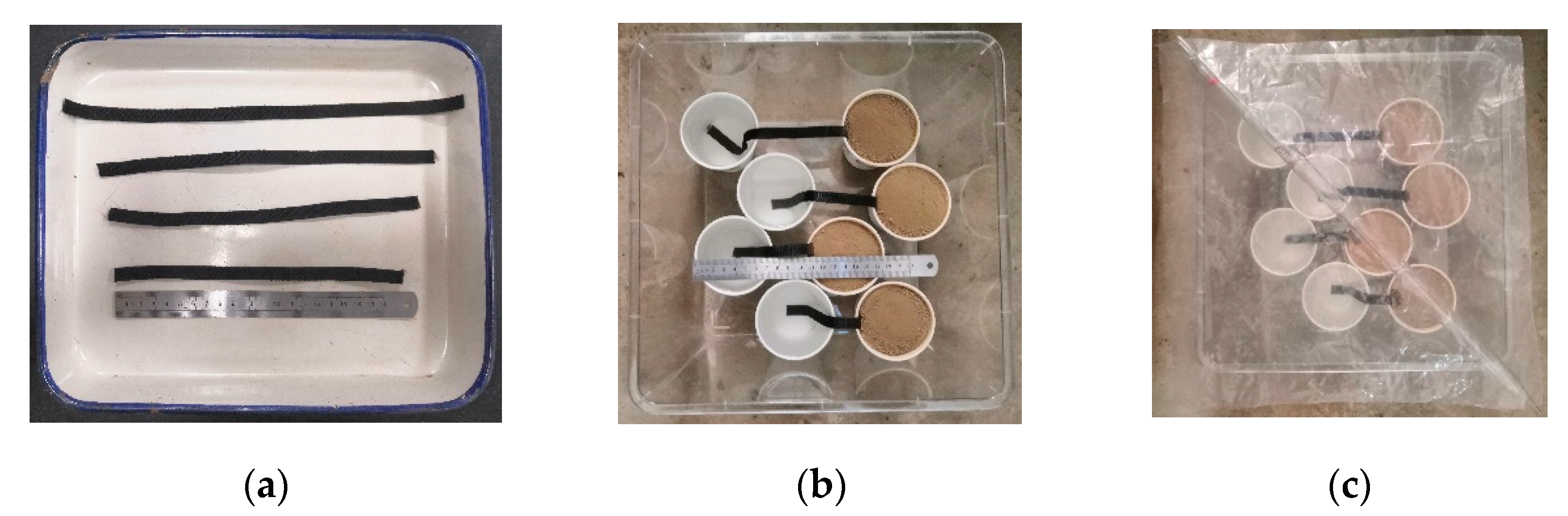 Water 15 01576 g005 Water 15 01576 g005