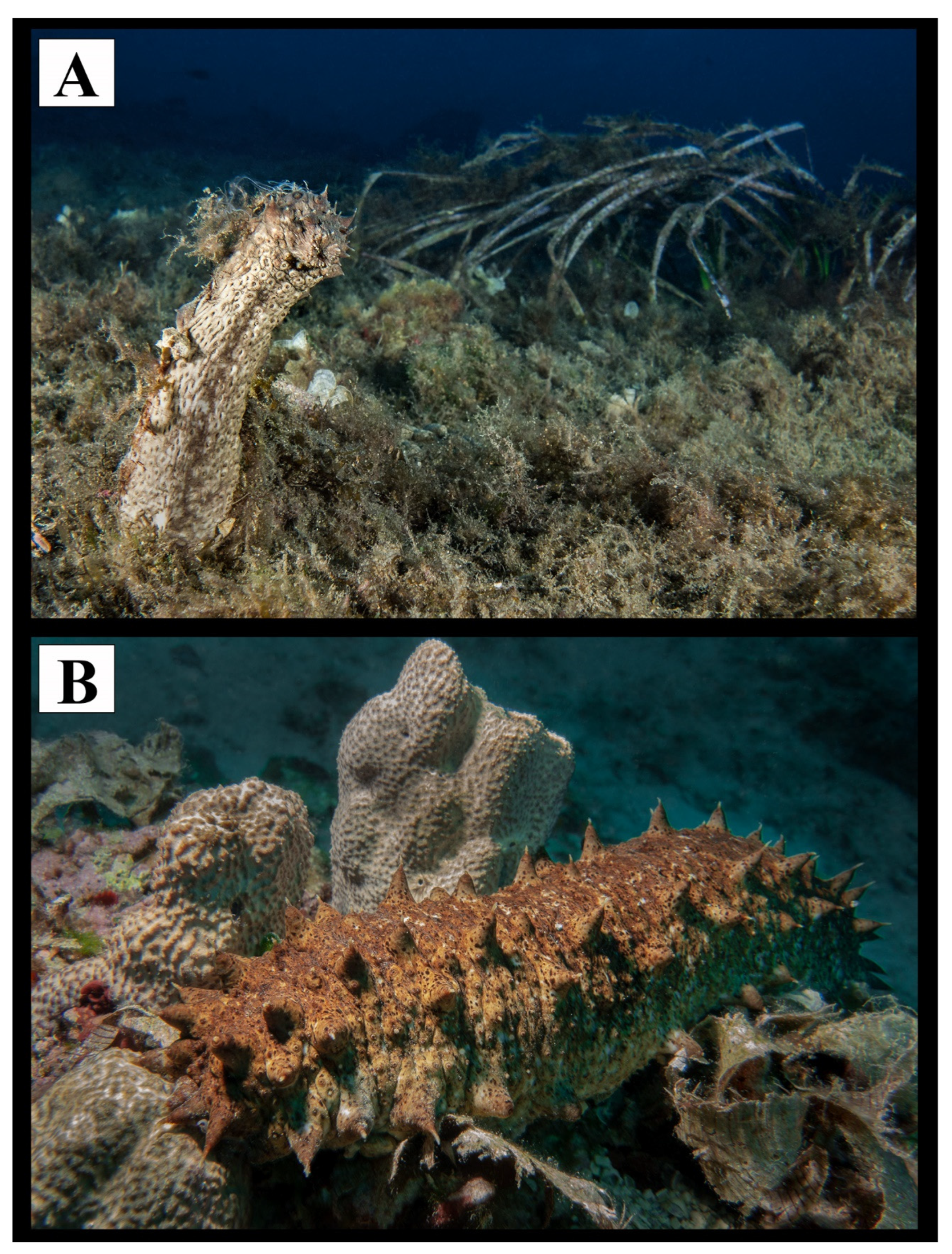 Water 15 01597 g002 Water 15 01597 g002