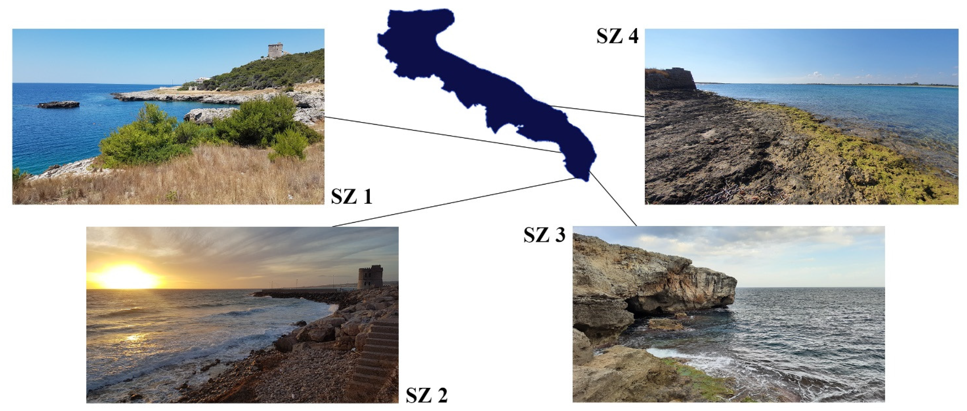 Water 15 01597 g003 Water 15 01597 g003