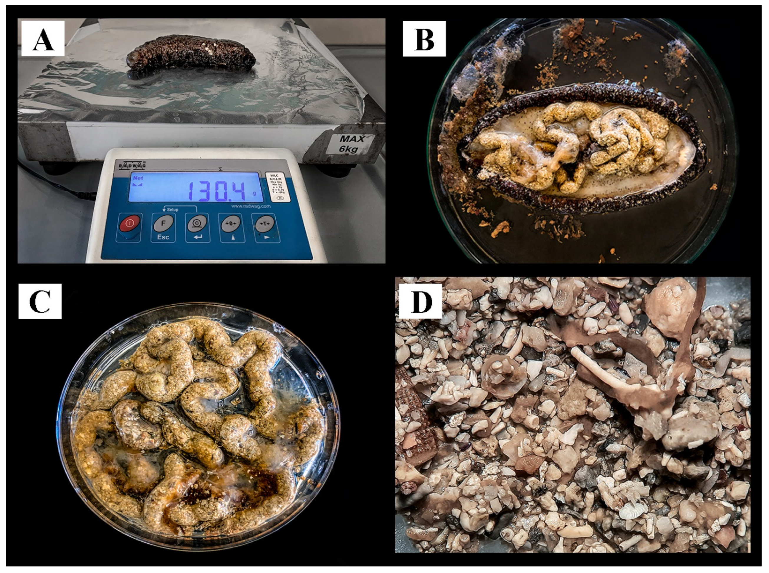 Water 15 01597 g004 Water 15 01597 g004