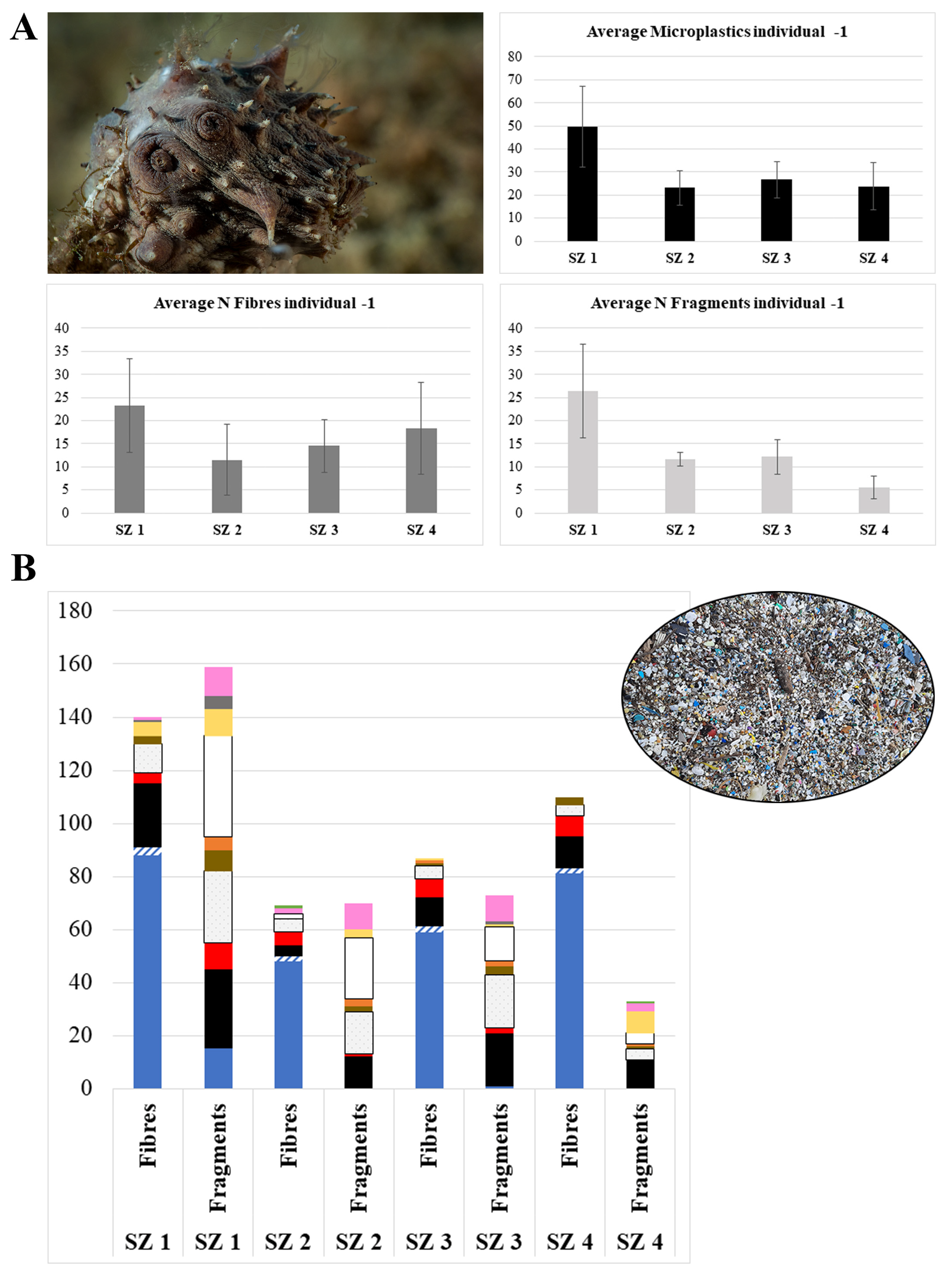 Water 15 01597 g005 Water 15 01597 g005