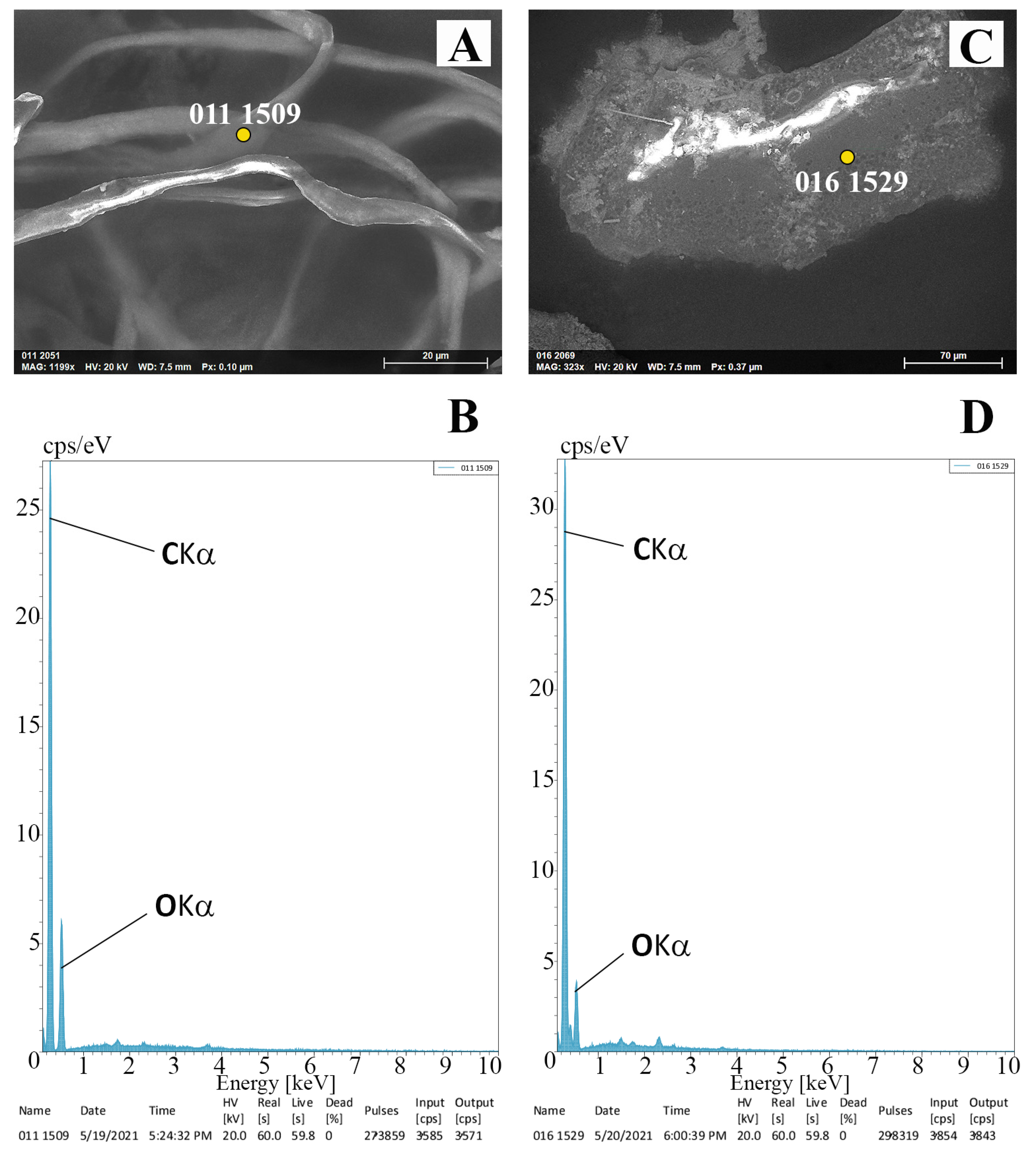 Water 15 01597 g006 Water 15 01597 g006