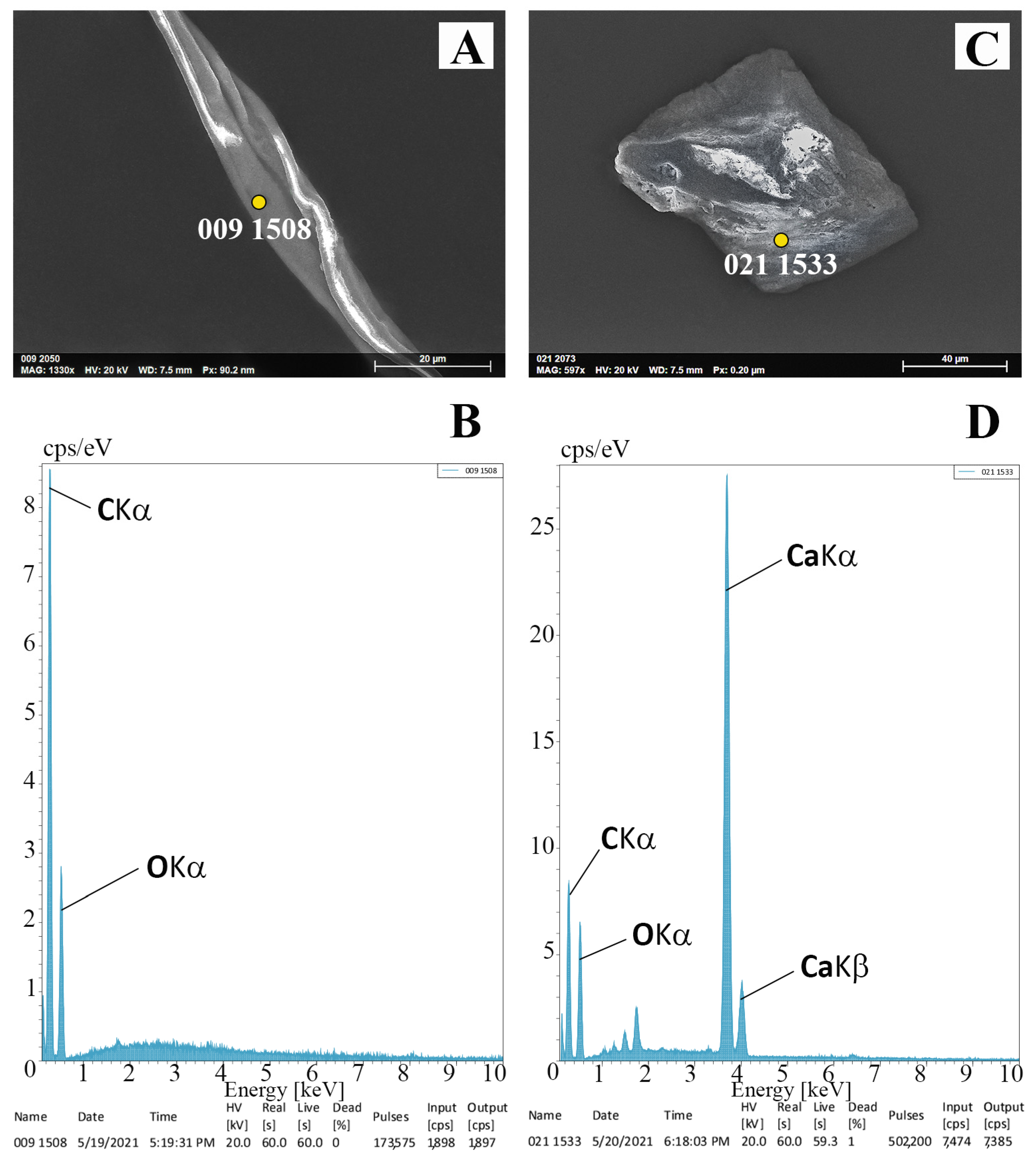 Water 15 01597 g007 Water 15 01597 g007