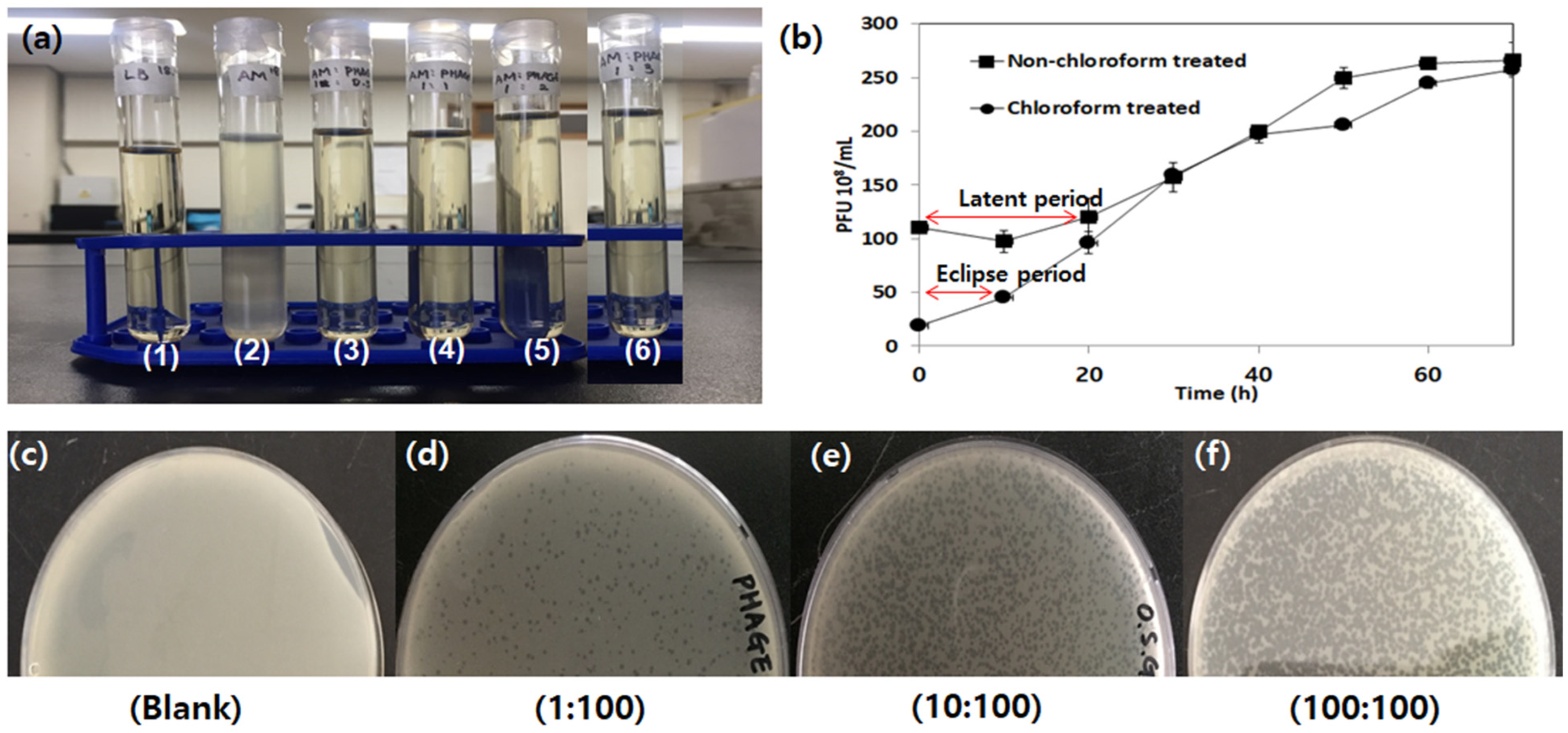 Water 15 01616 g004 Water 15 01616 g004