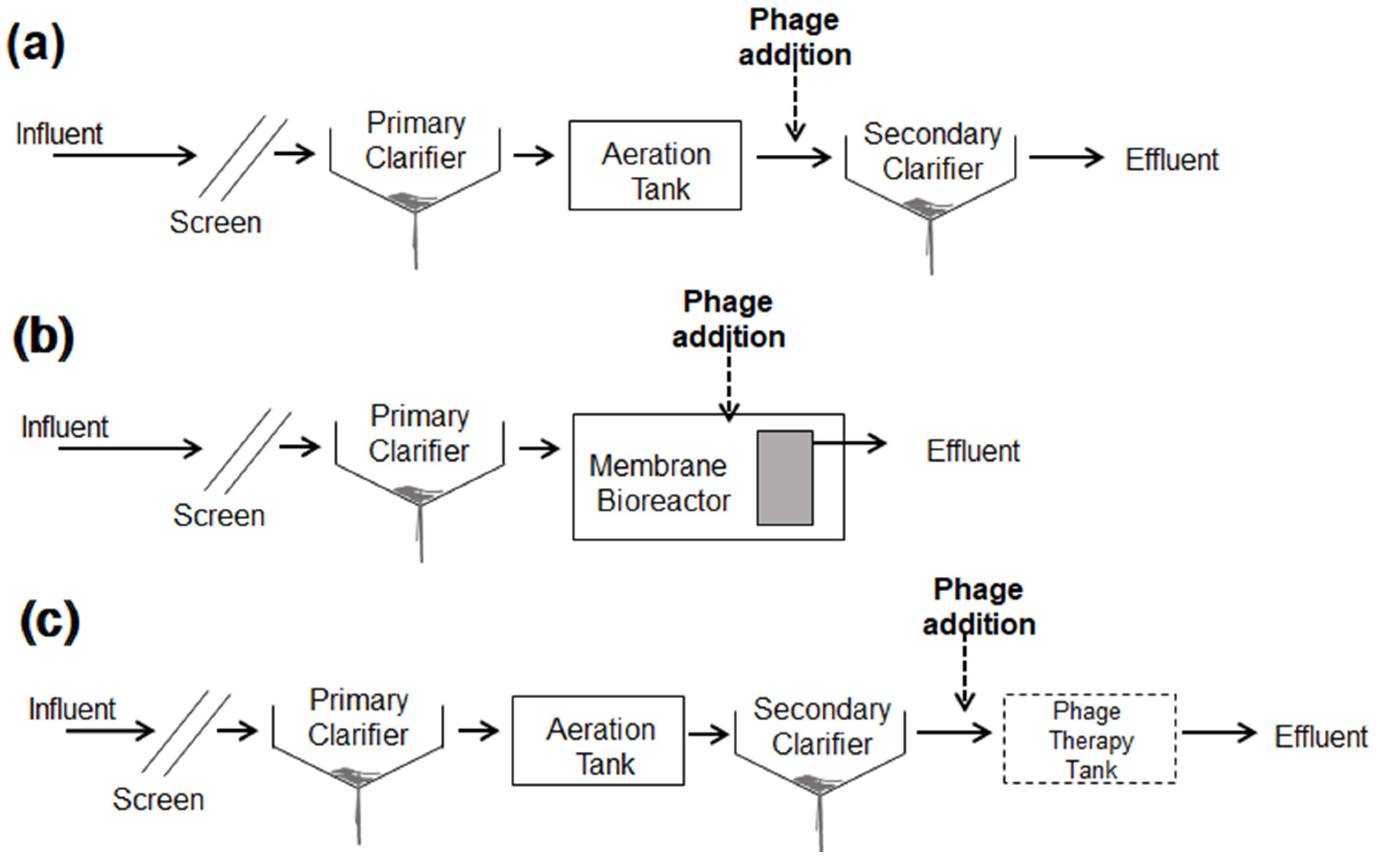 Water 15 01616 g007 Water 15 01616 g007