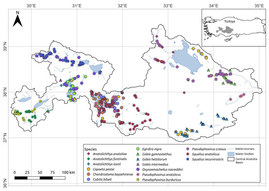 PDF) Spatial modelling of temporal dynamics in stream fish communities  under anthropogenic change