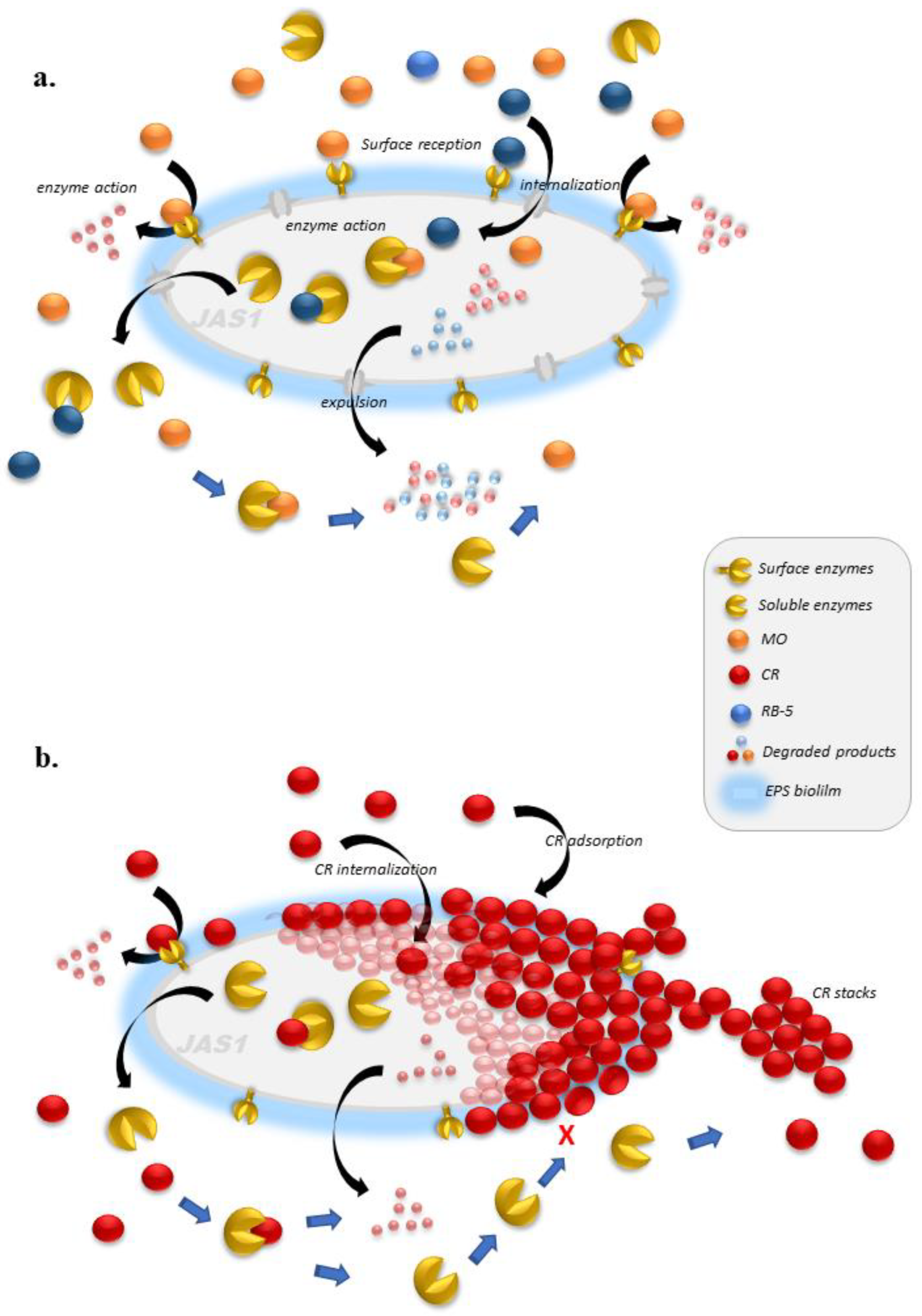 Water 15 01664 g007 Water 15 01664 g007