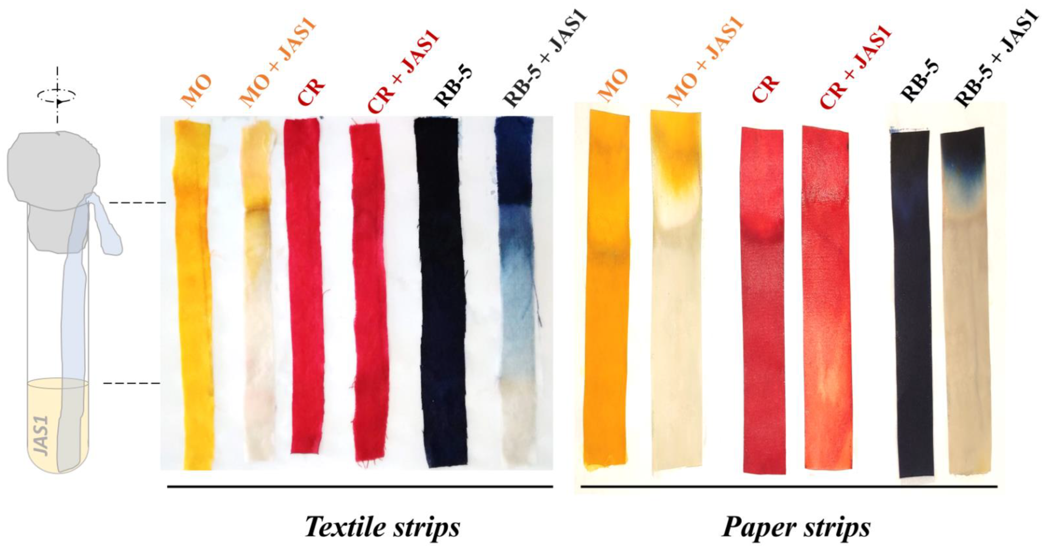 Water 15 01664 g011 Water 15 01664 g011