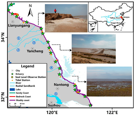 Quantitative Analysis of Rapid Siltation and Erosion Caused