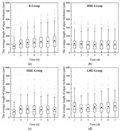 Preliminary Study on the Inhibitory Effect and Mechanism of