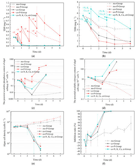 Preliminary Study on the Inhibitory Effect and Mechanism of