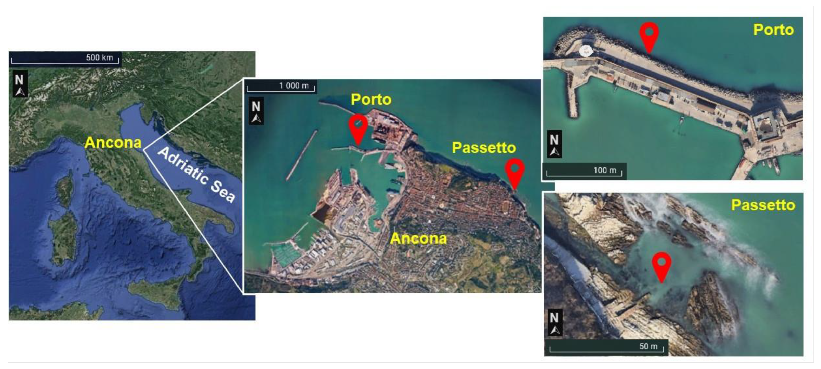 Water 15 01697 g001 Water 15 01697 g001