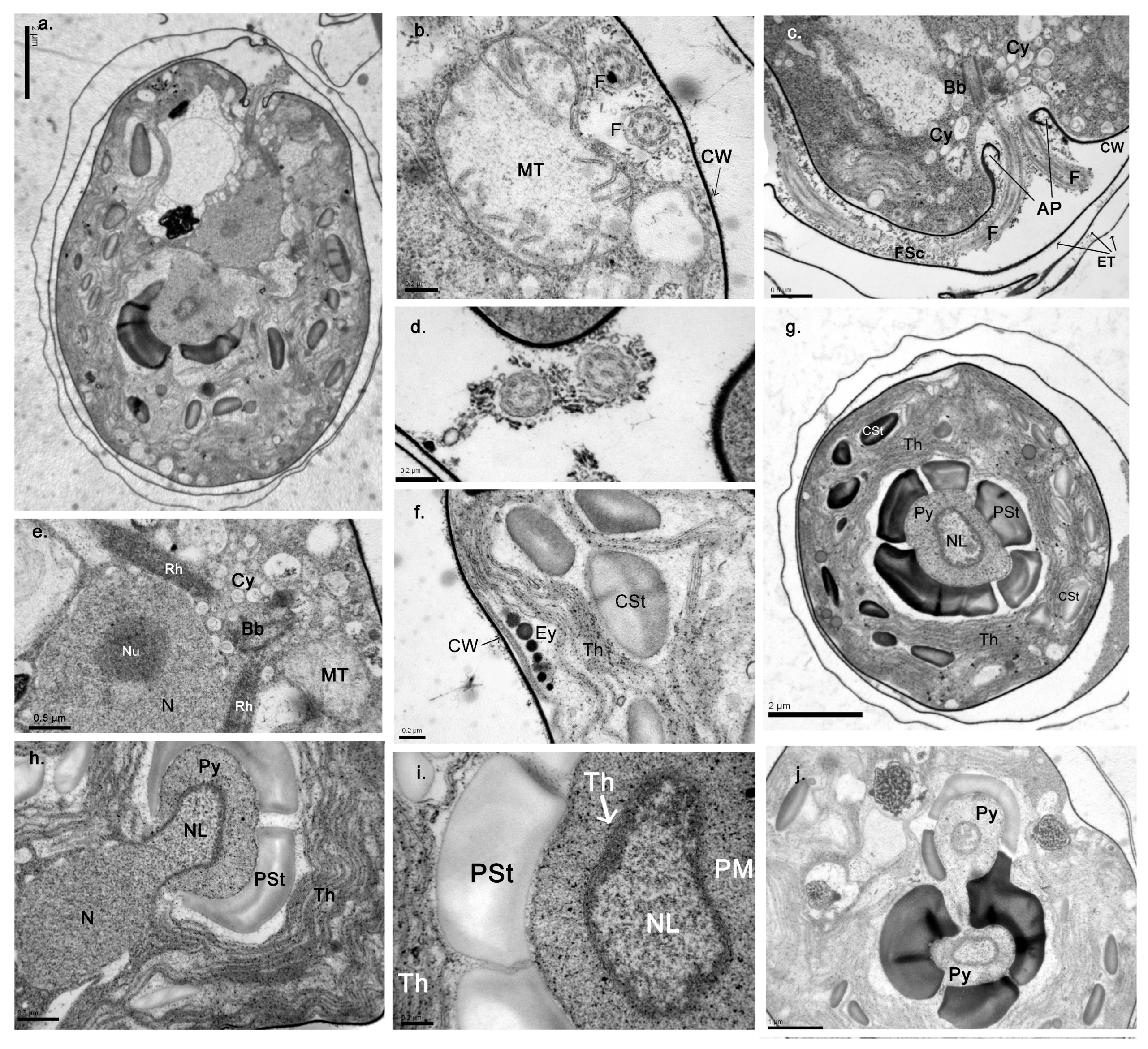 Water 15 01698 g003 Water 15 01698 g003