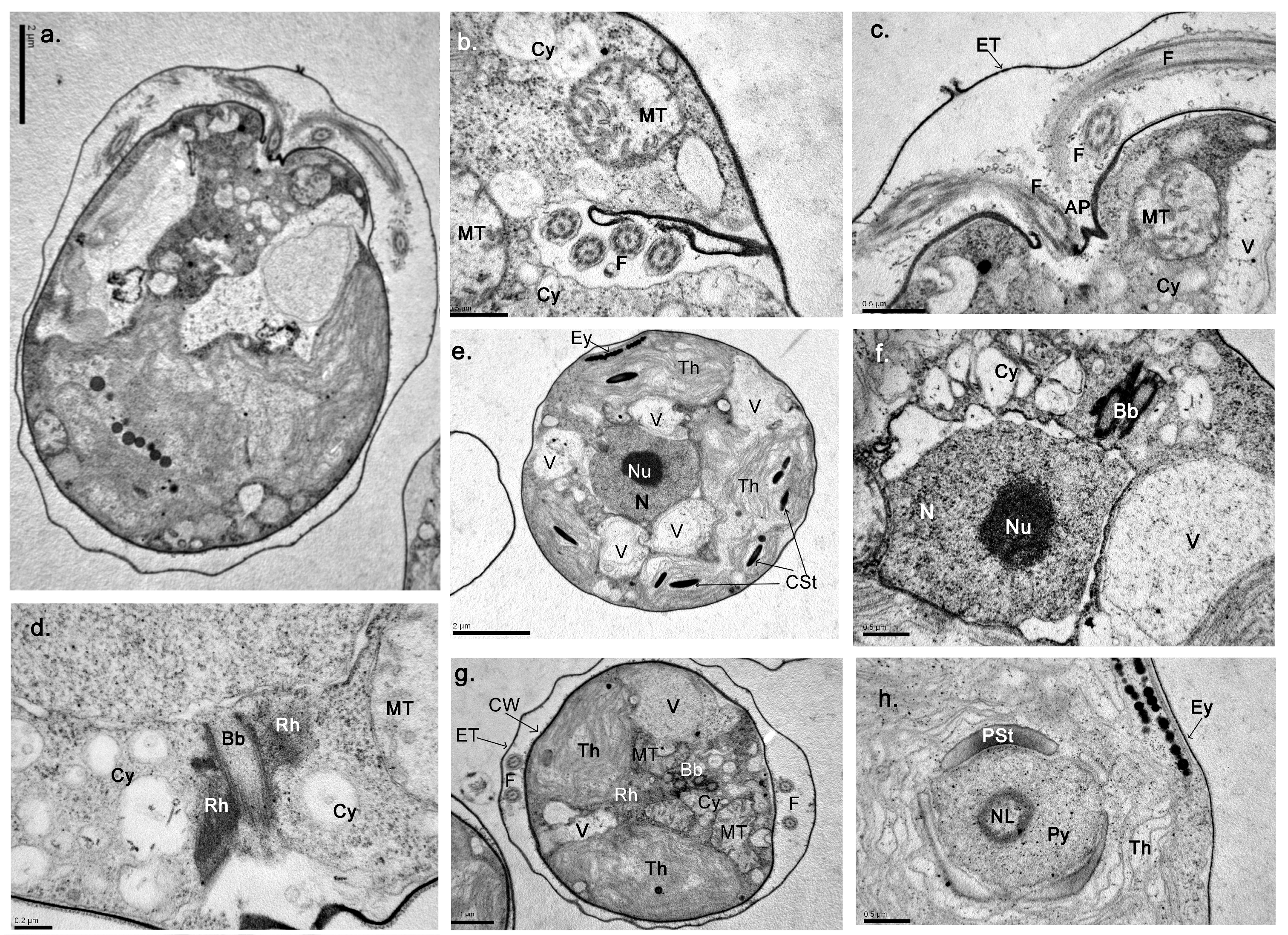 Water 15 01698 g005 Water 15 01698 g005