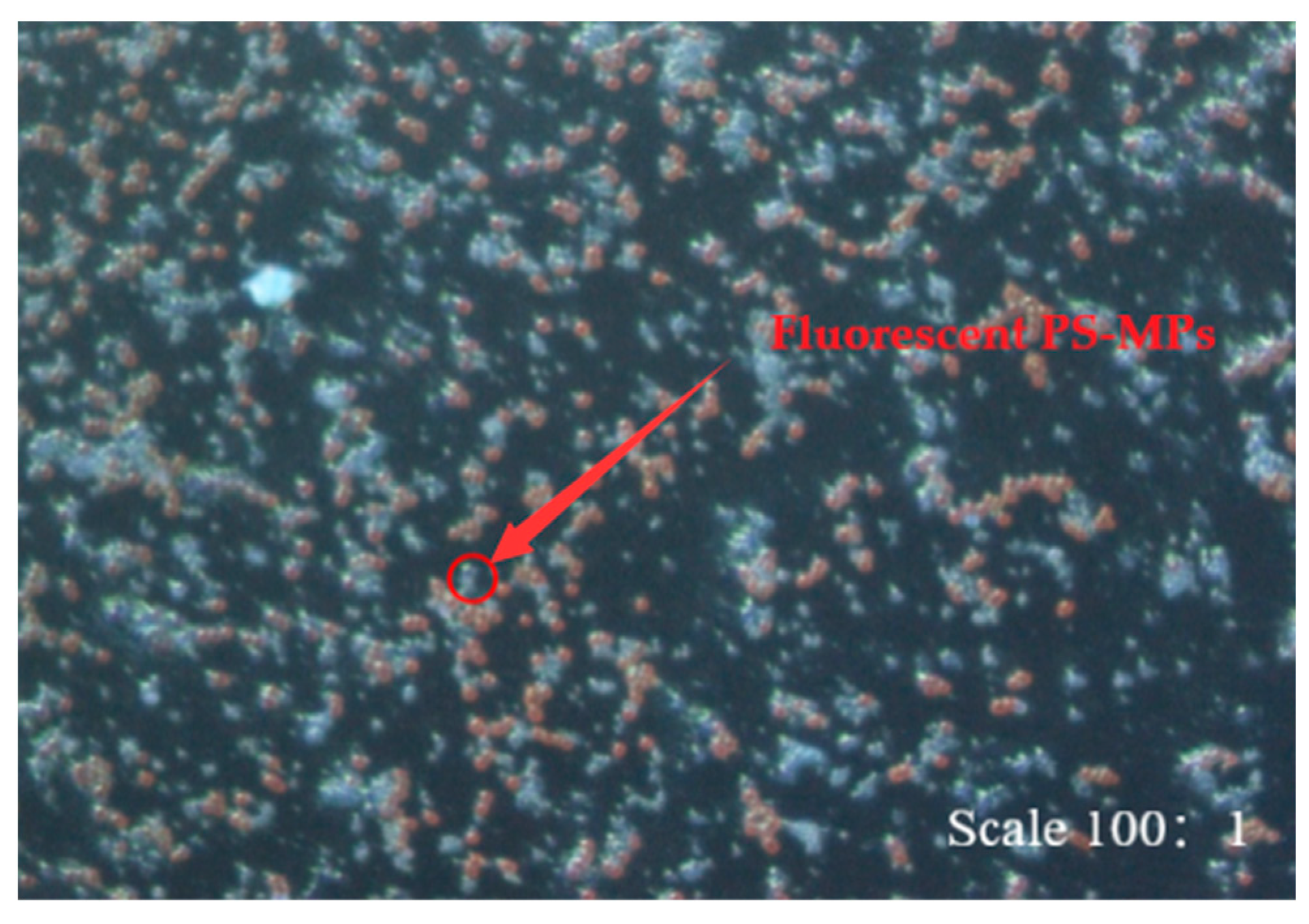 Water 15 01744 g002 Water 15 01744 g002