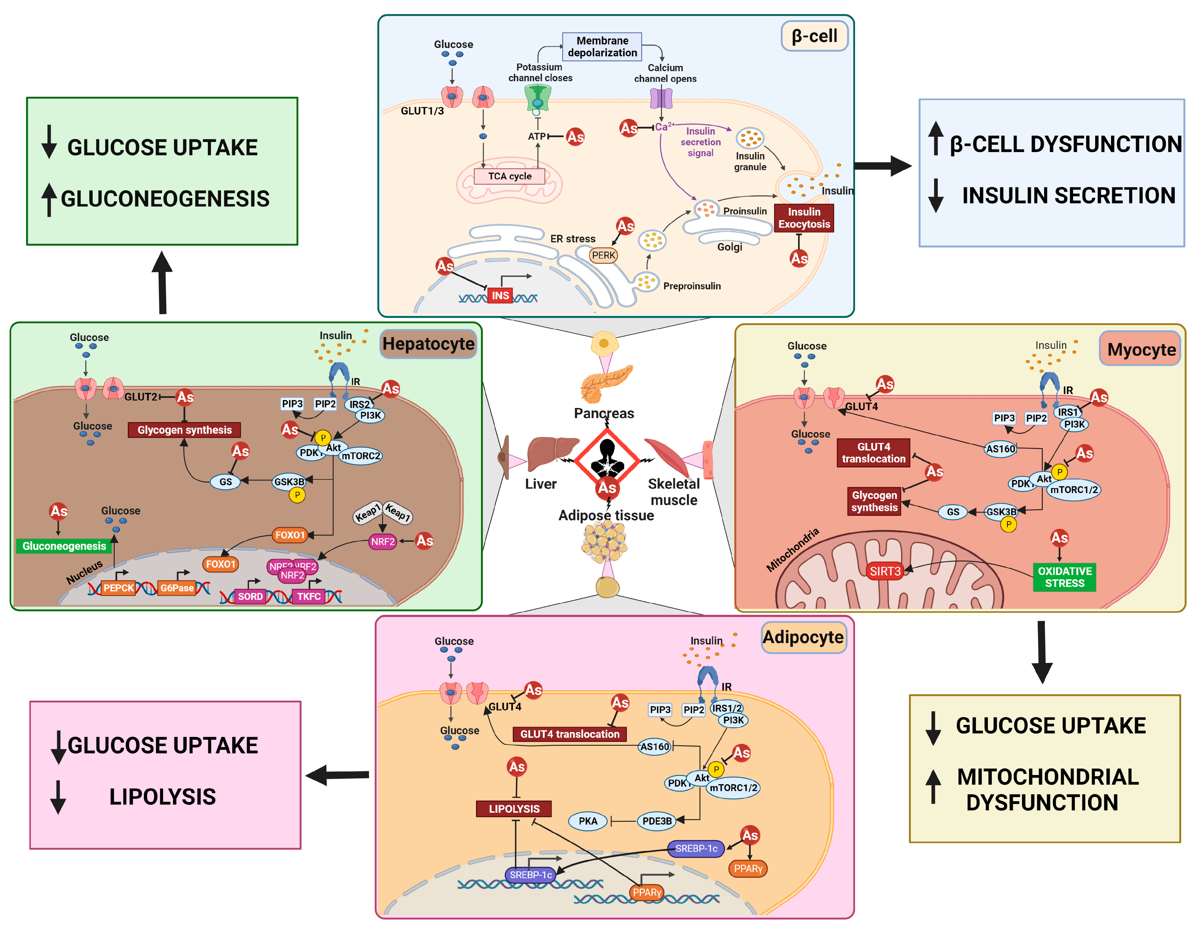 Water 15 01751 g002 Water 15 01751 g002