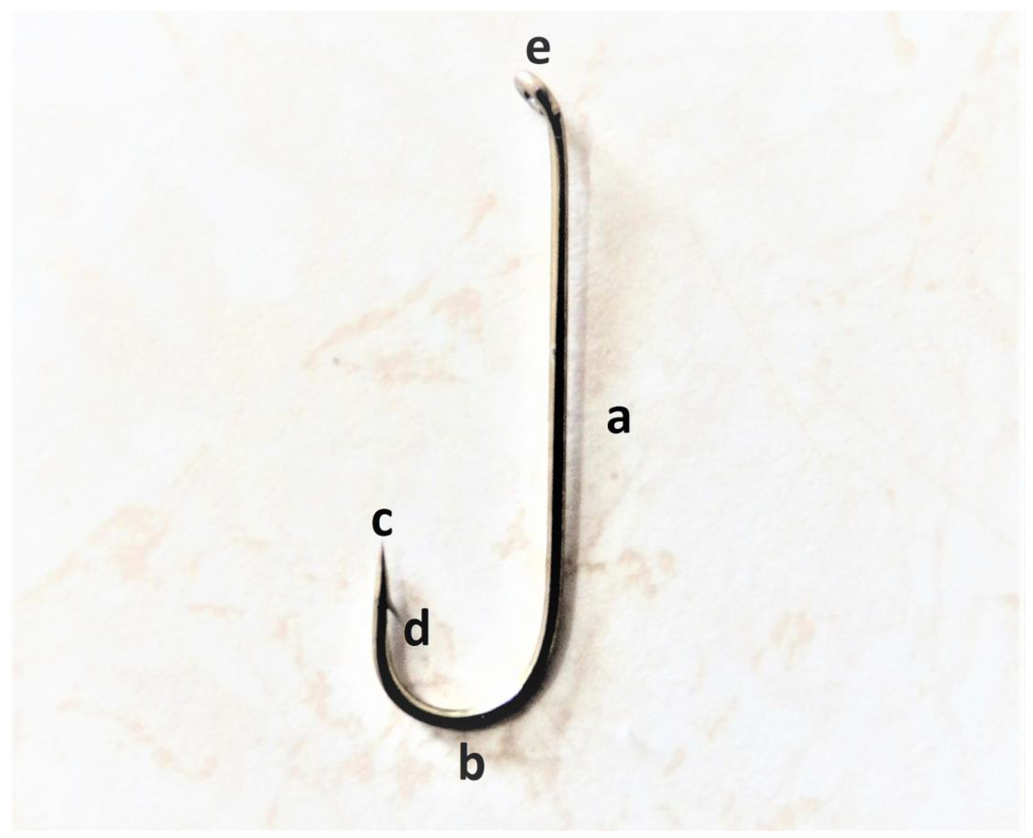 Water Free FullText Fish Hooks and the Protection of Living