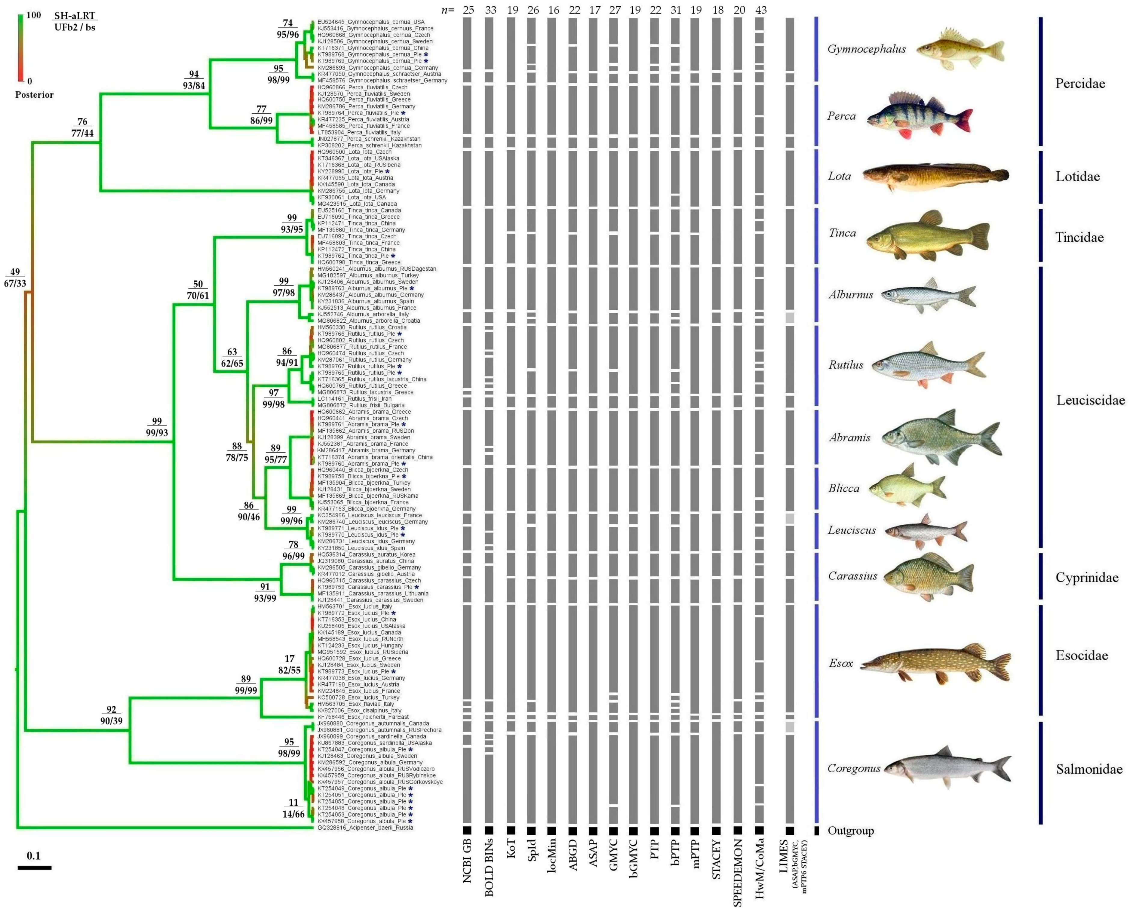 Water 15 01851 g002 Water 15 01851 g002