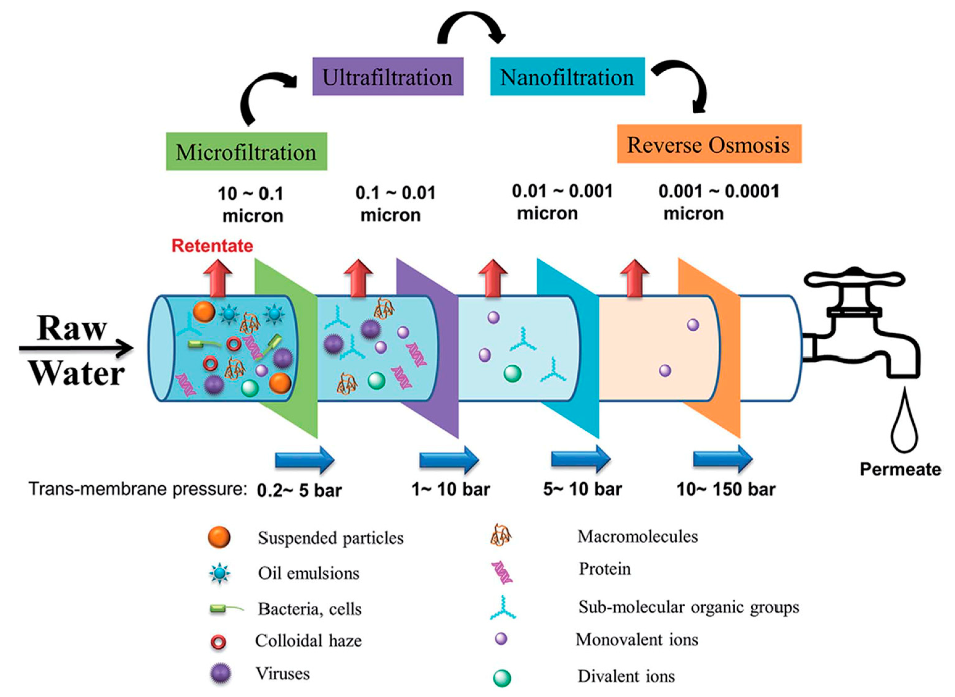 Water Free FullText Cellulose AcetateBased Materials for Water