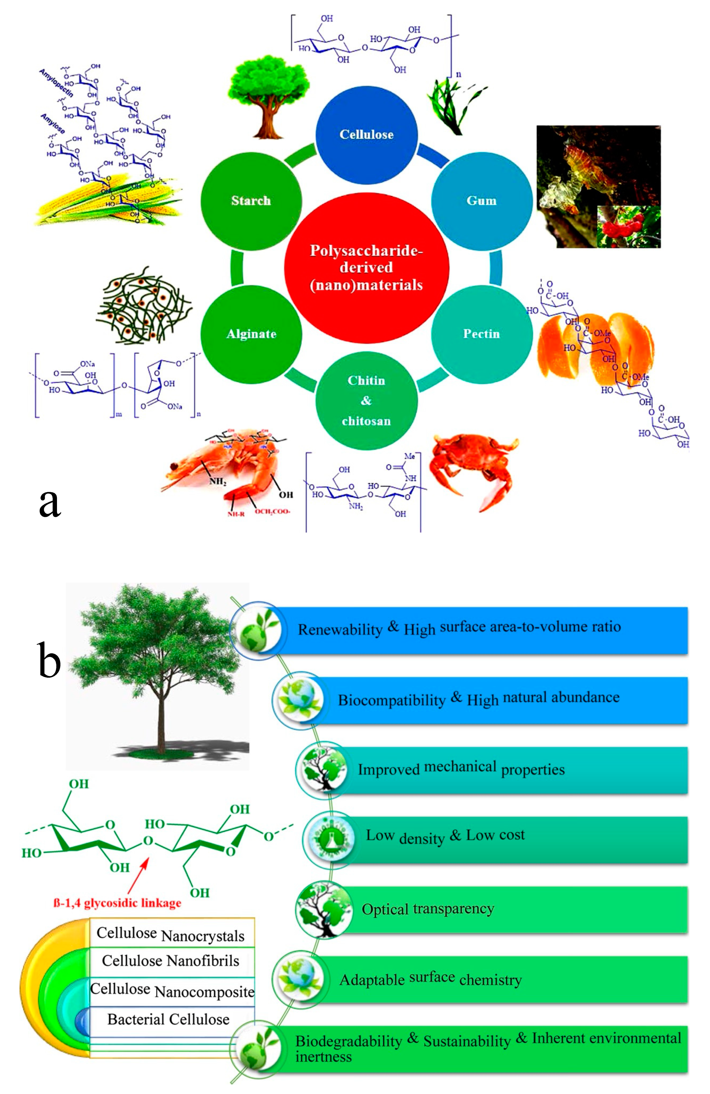 Water 15 01860 g002 Water 15 01860 g002