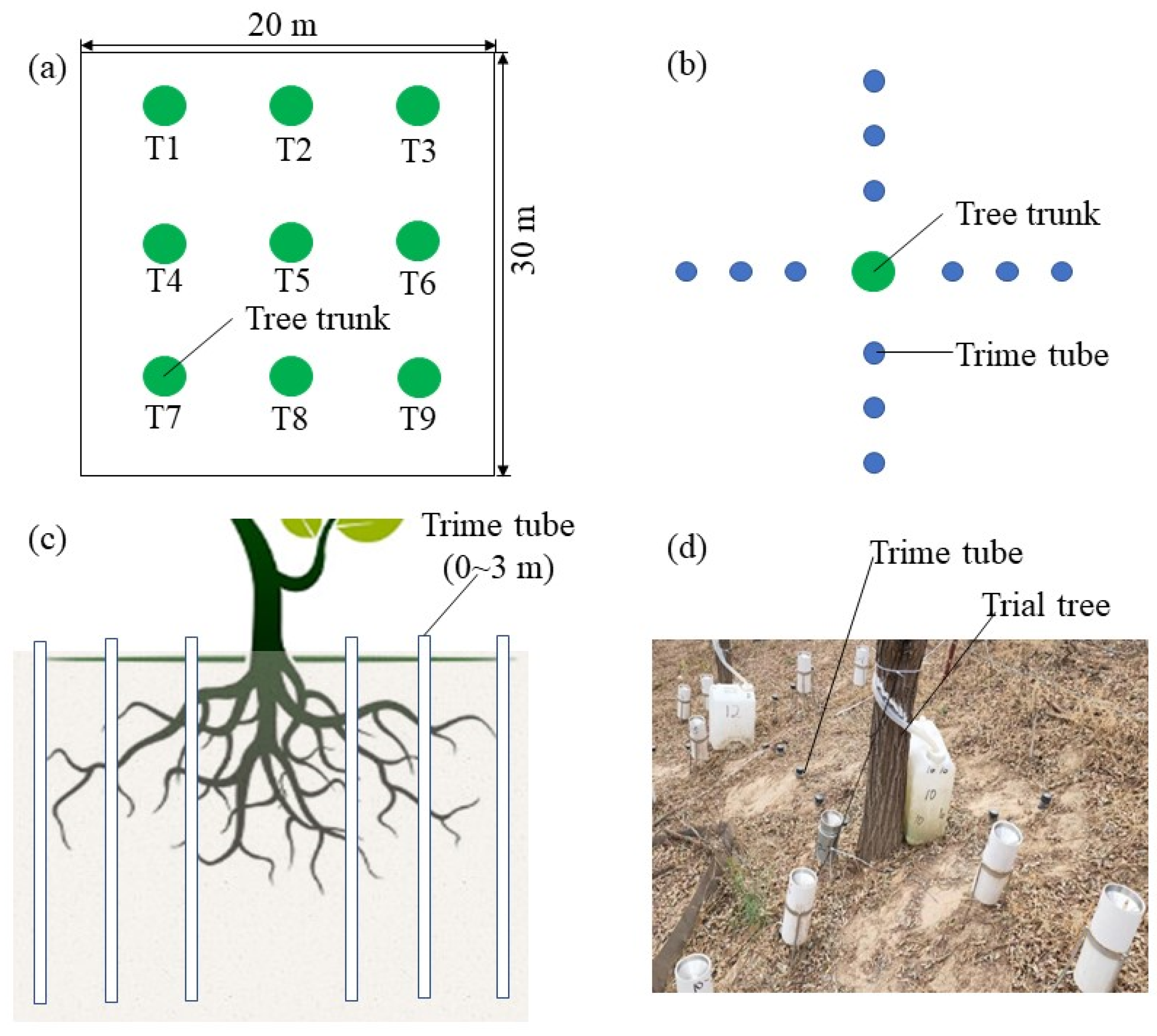 Water 15 01870 g002 Water 15 01870 g002