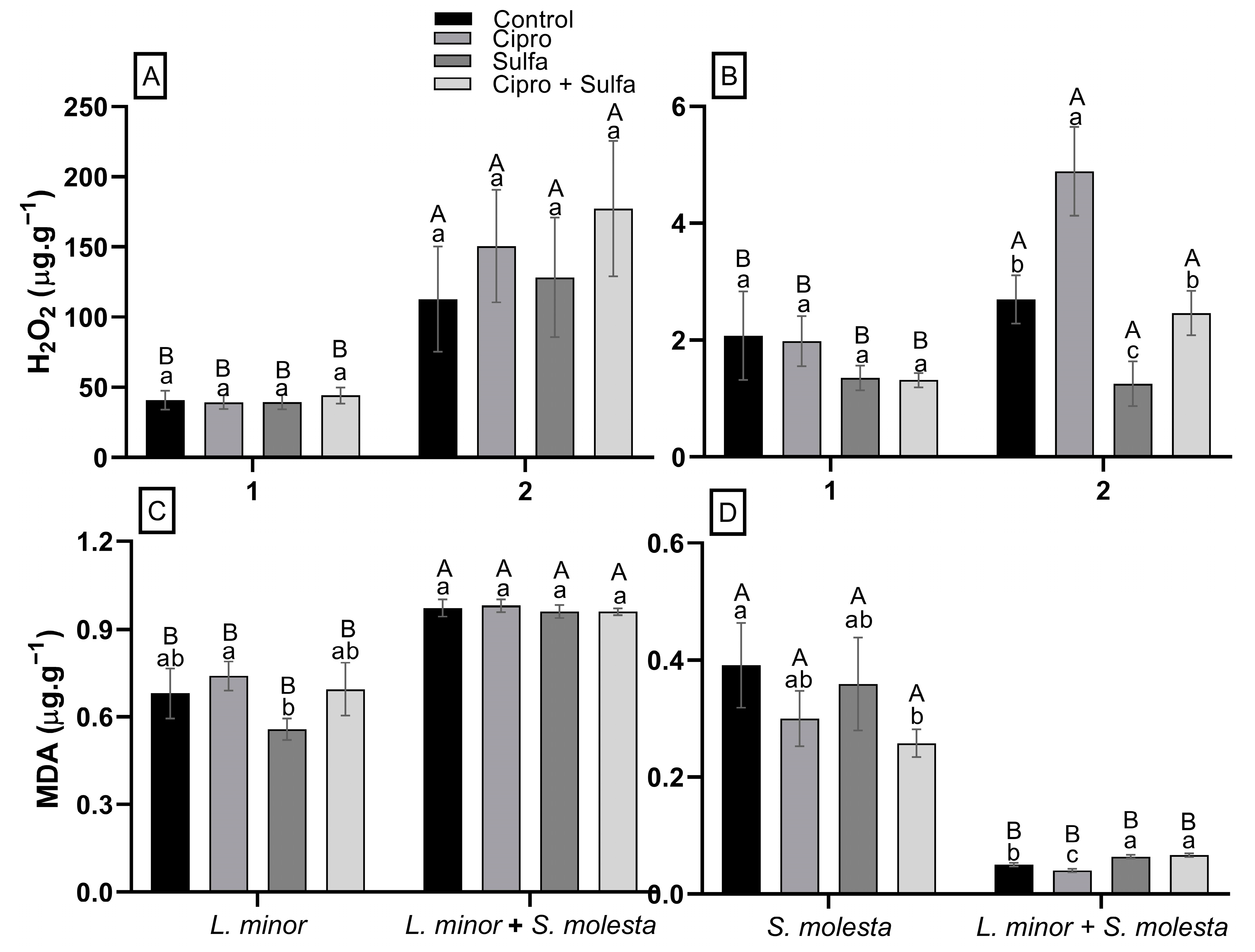Water 15 01899 g002 Water 15 01899 g002