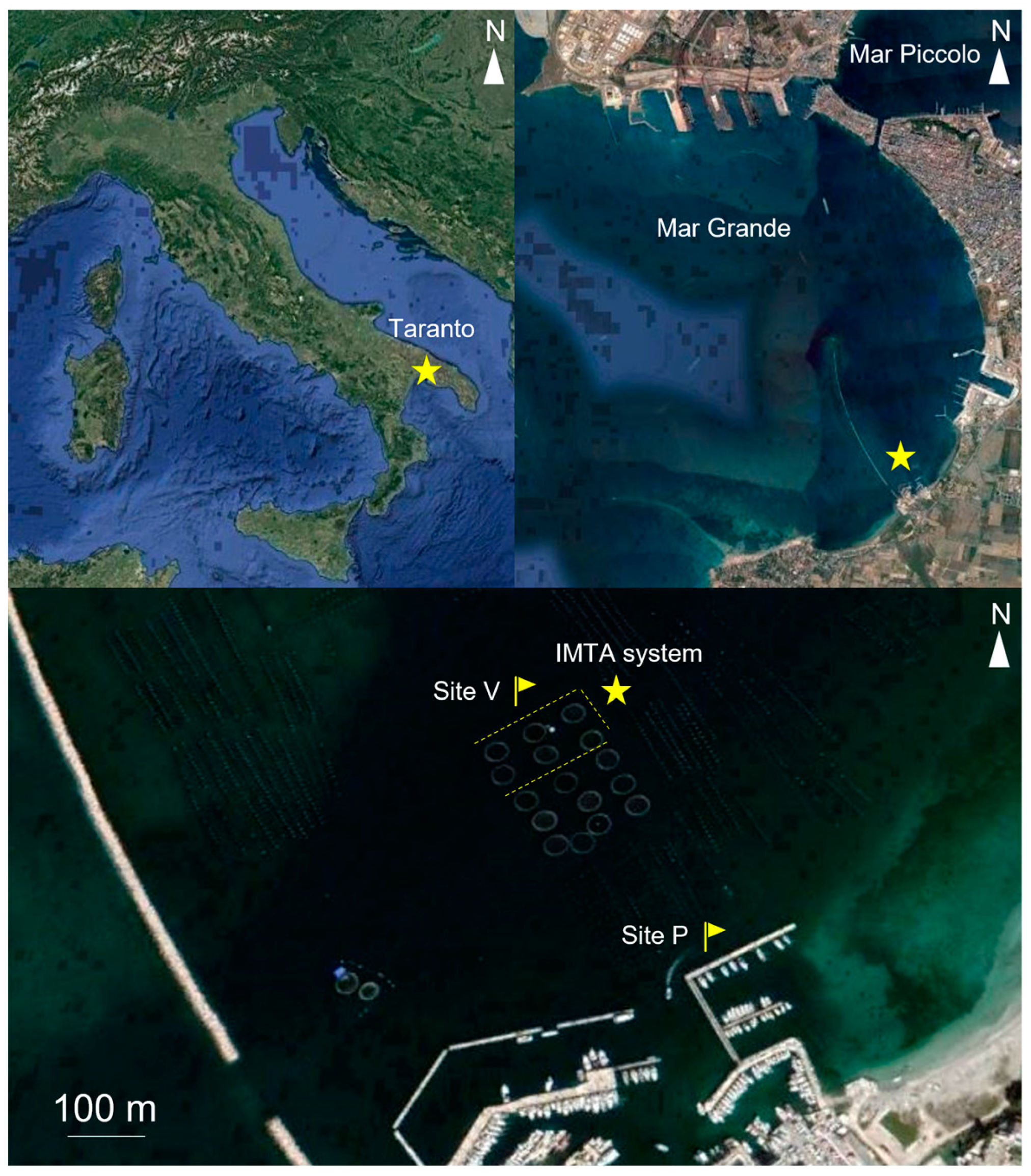 Water 15 01922 g001 Water 15 01922 g001