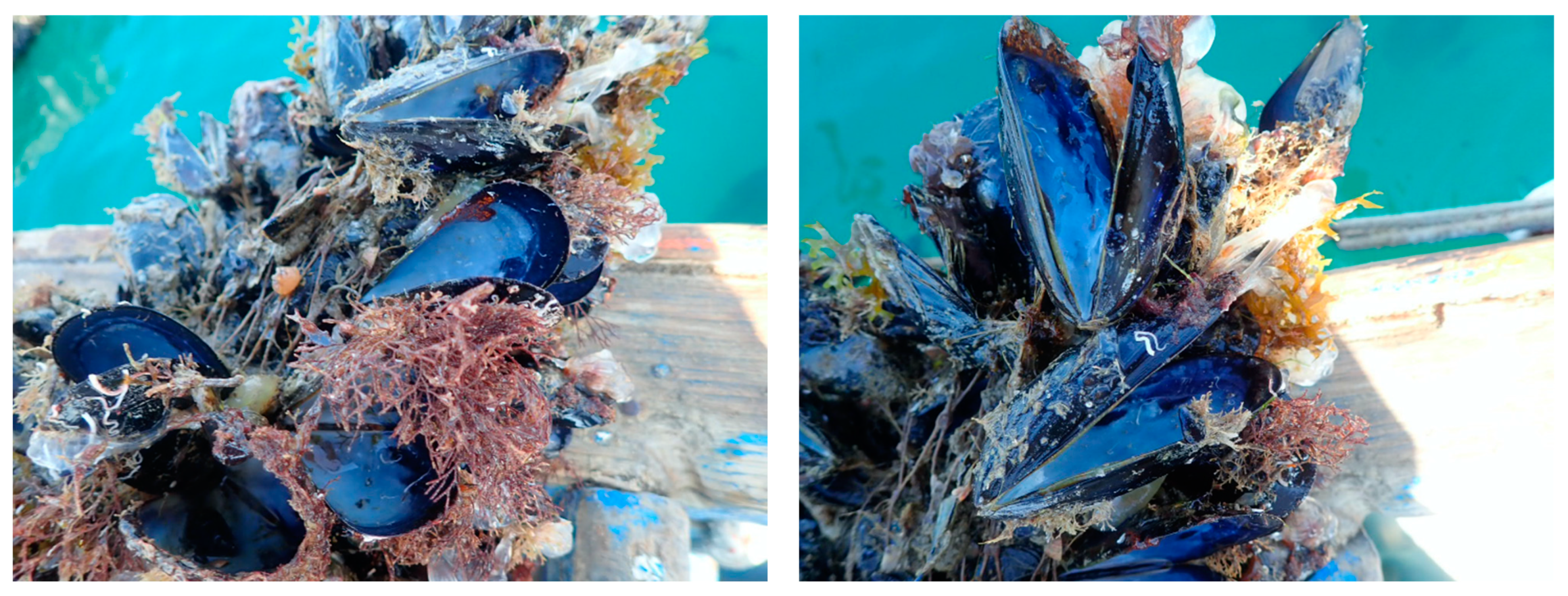 Water 15 01922 g003 Water 15 01922 g003