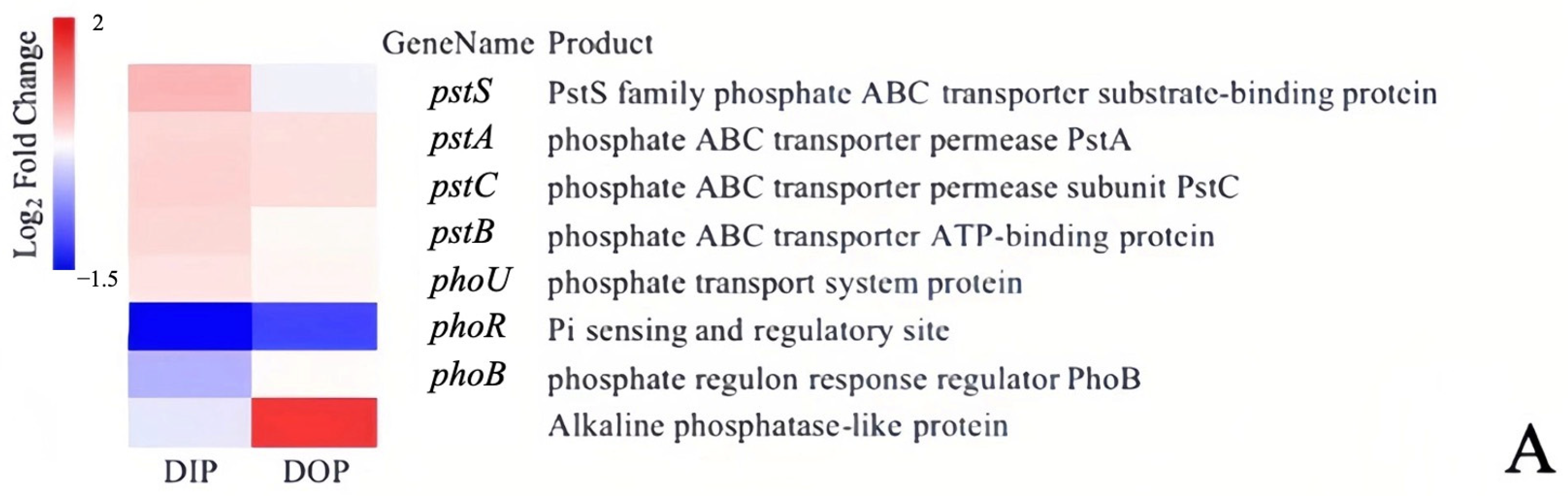 Water 15 01938 g005a