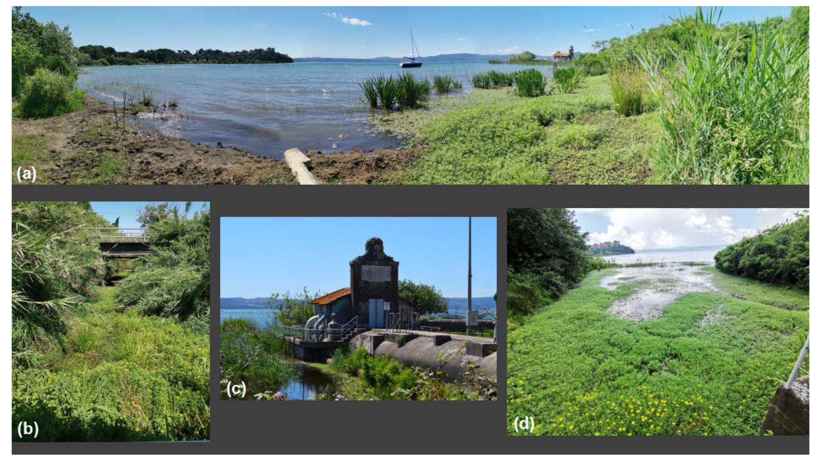 Water 15 01959 g004 Water 15 01959 g004