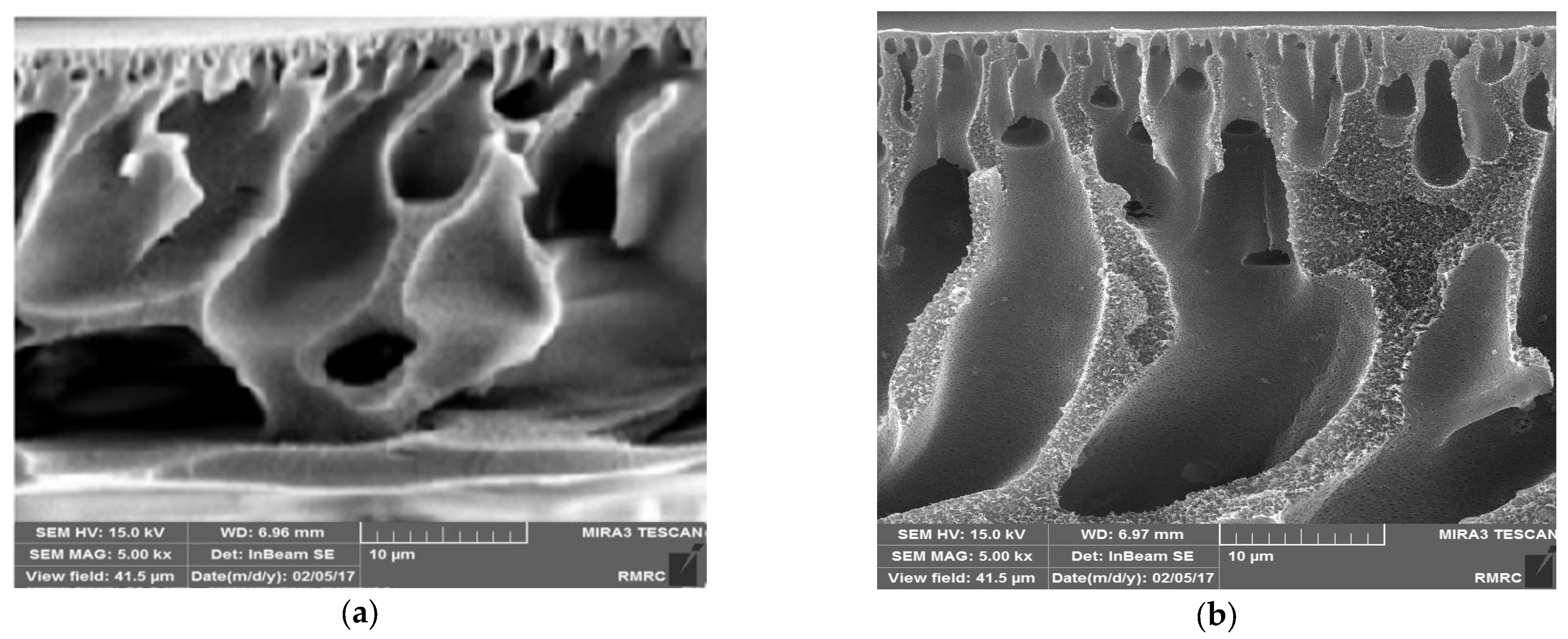 Water 15 01988 g002a