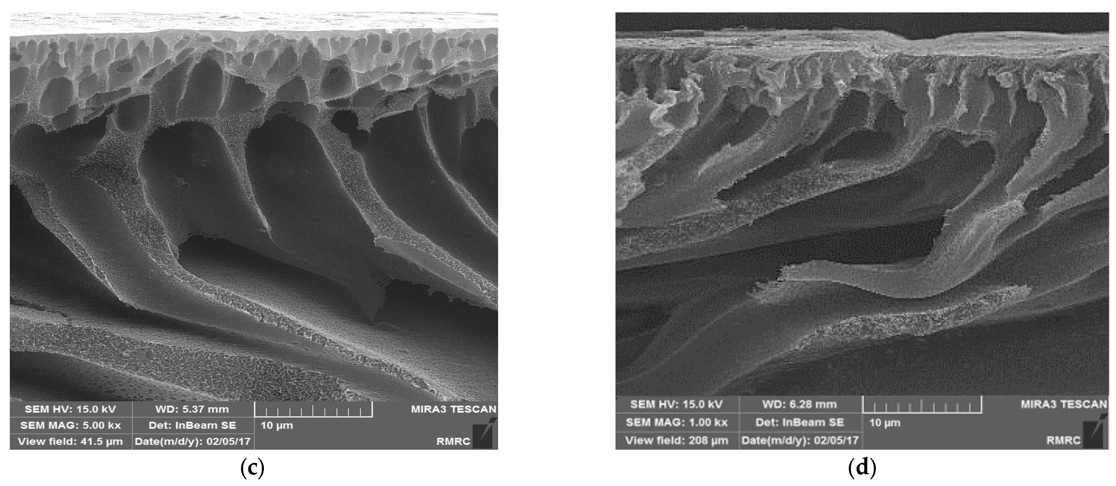 Water 15 01988 g002b