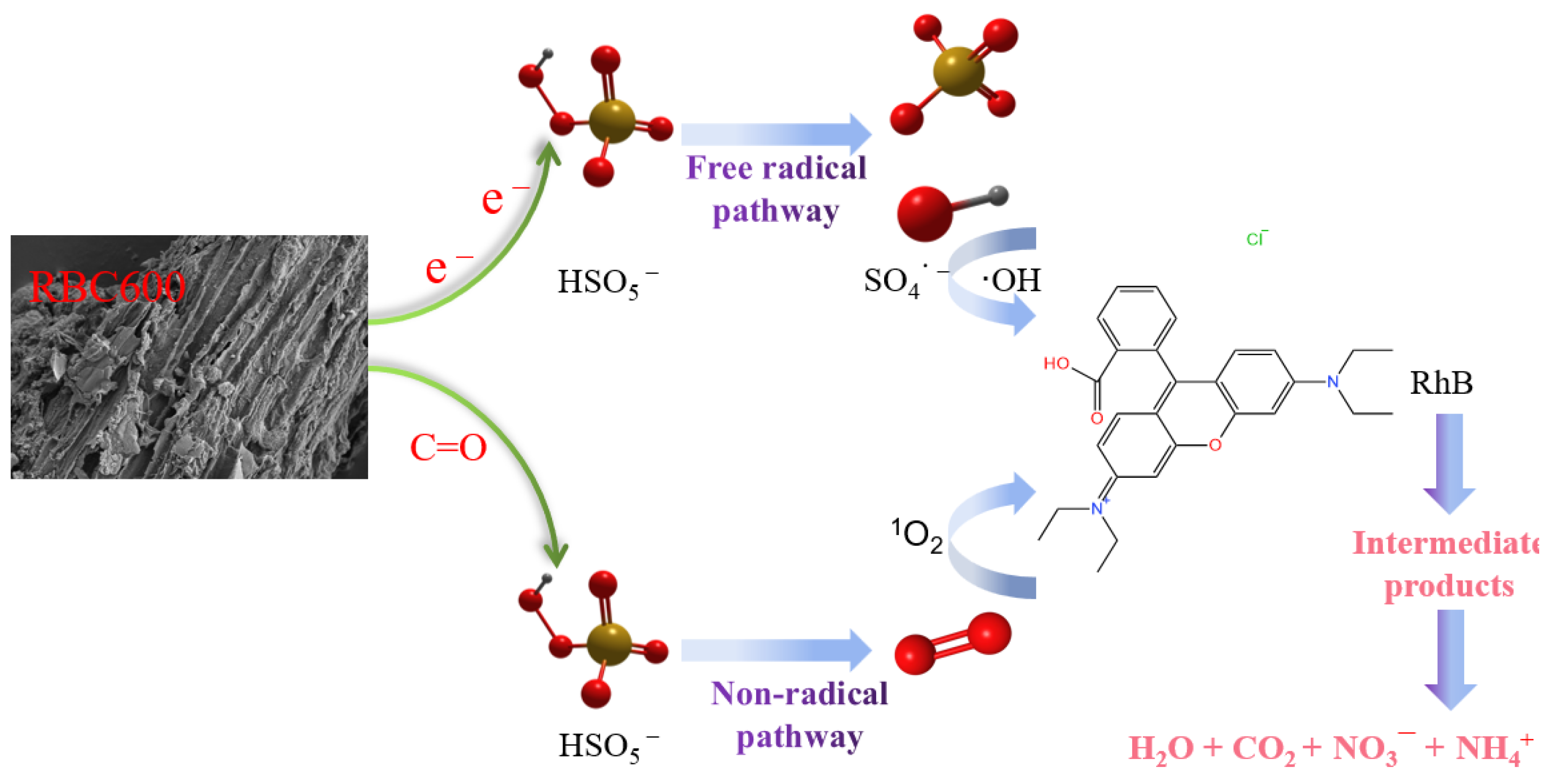 Water 15 02015 g016 Water 15 02015 g016