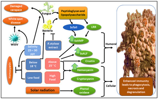 Impacts of Habitat Quality on the Physiology, Ecology, and