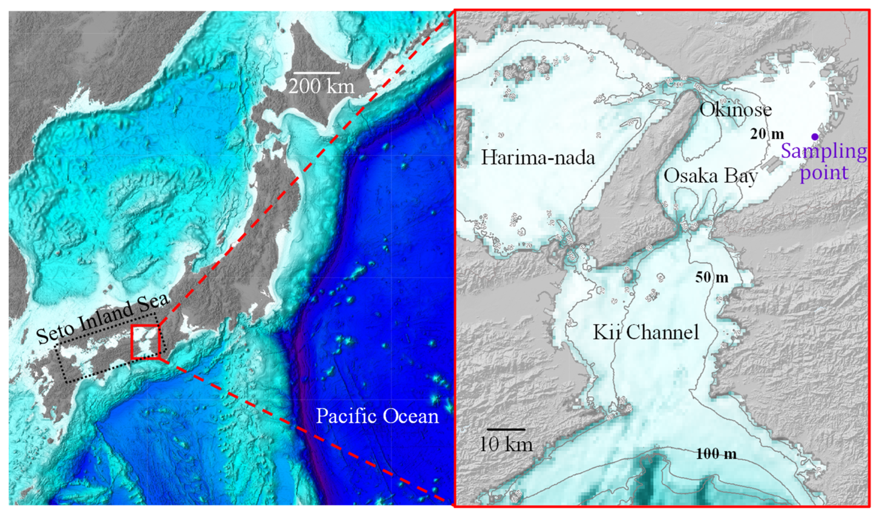 Water 15 02041 g001 Water 15 02041 g001