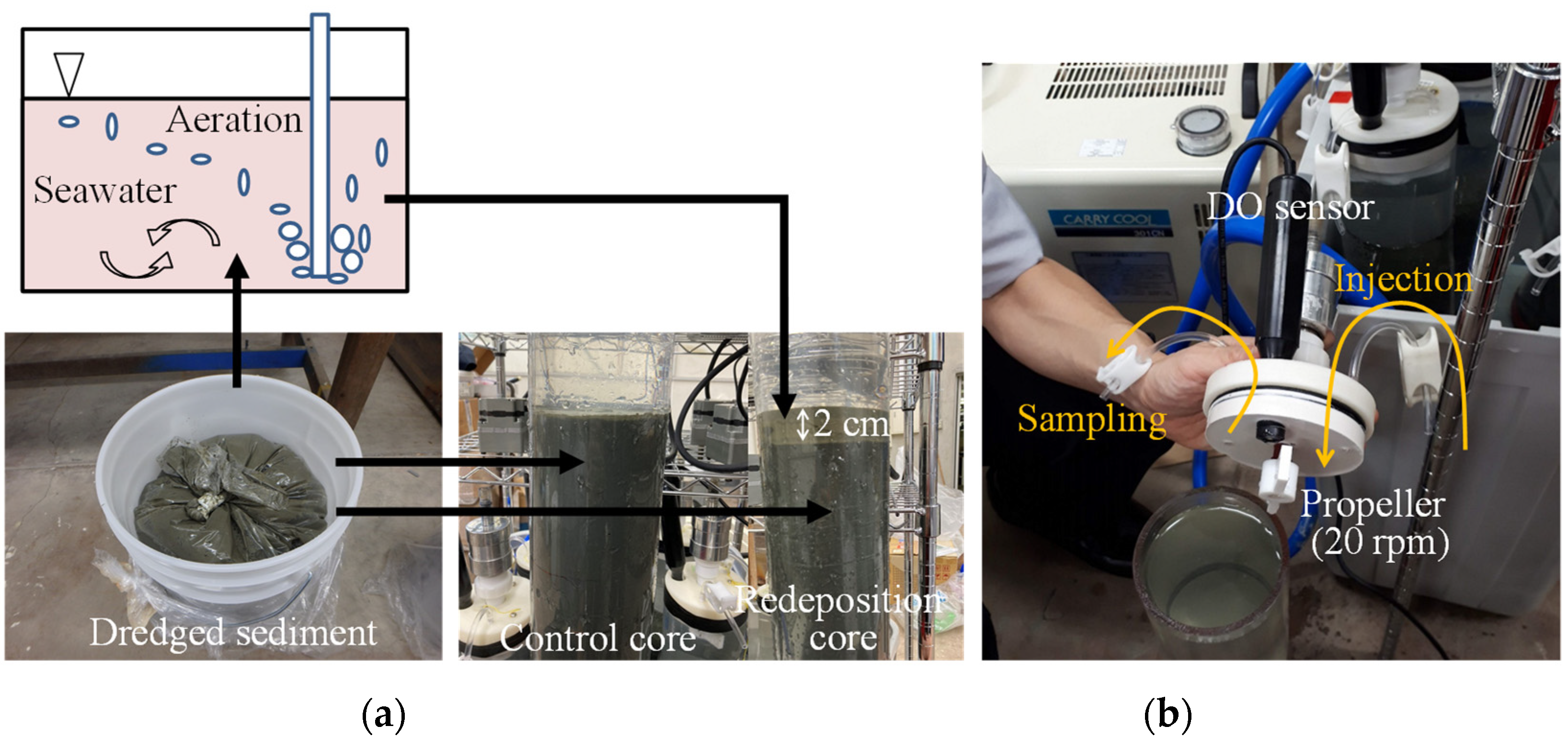 Water 15 02041 g002 Water 15 02041 g002