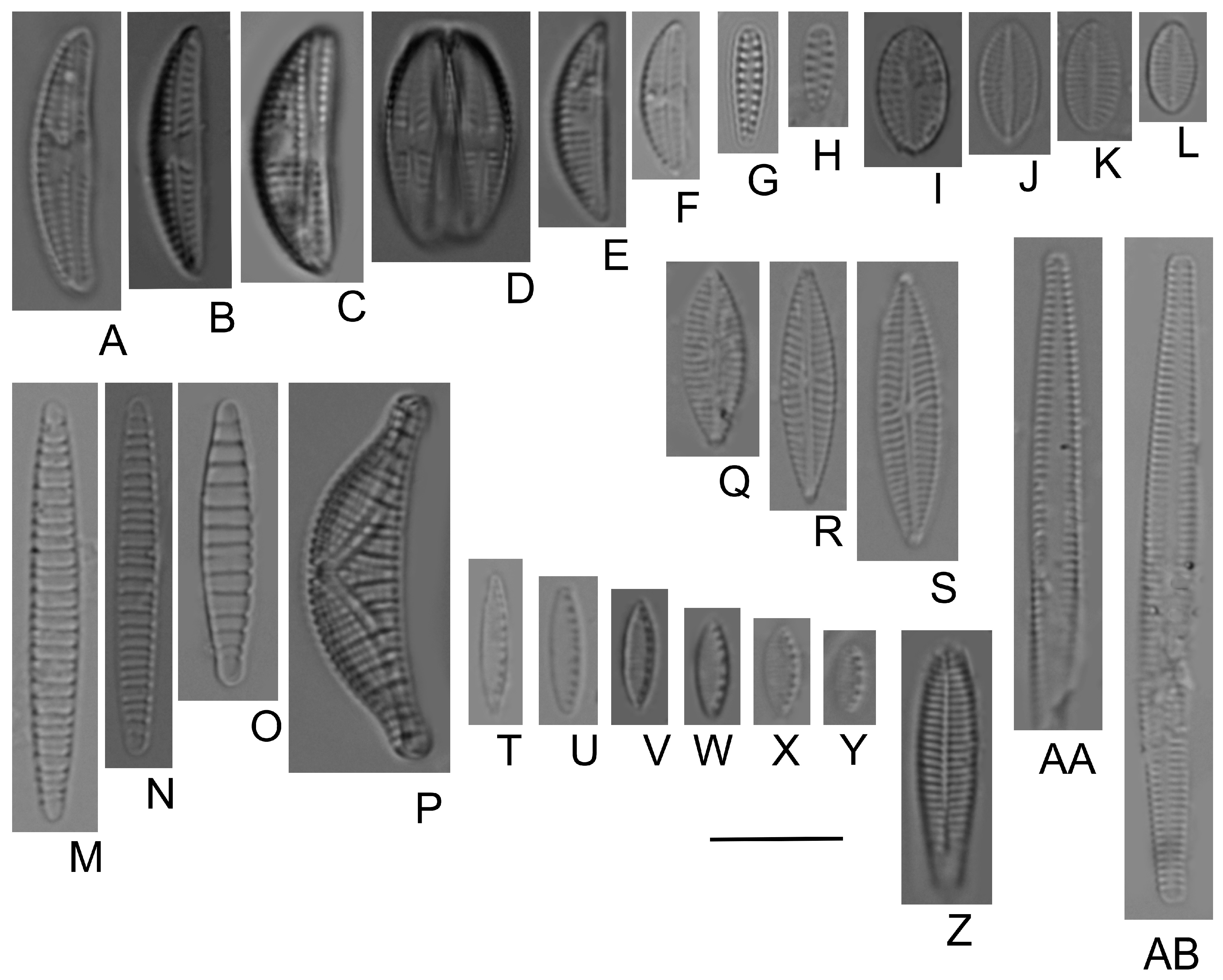 Water 15 02078 g0a1 Water 15 02078 g0a1