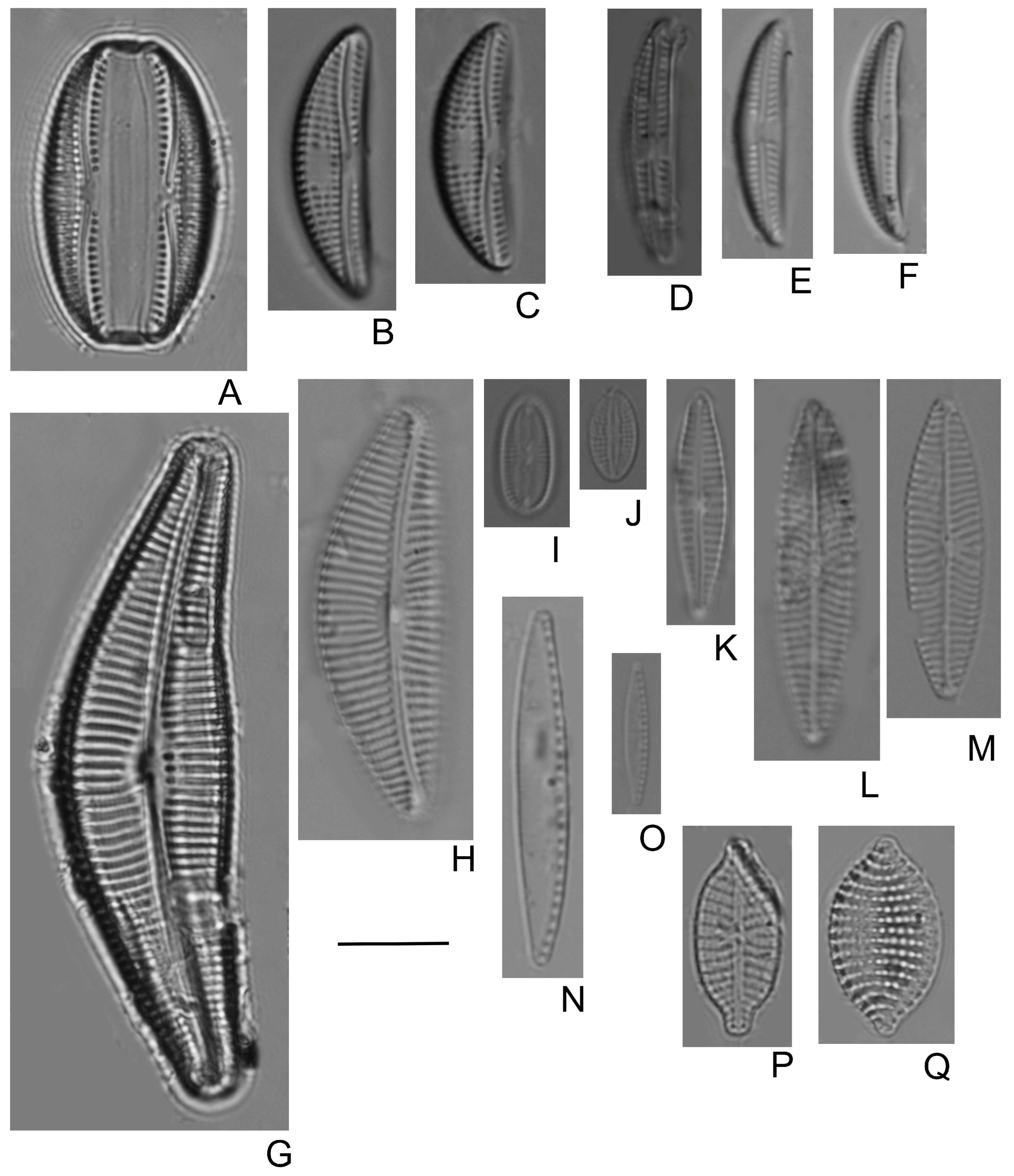 Water 15 02078 g0a3 Water 15 02078 g0a3