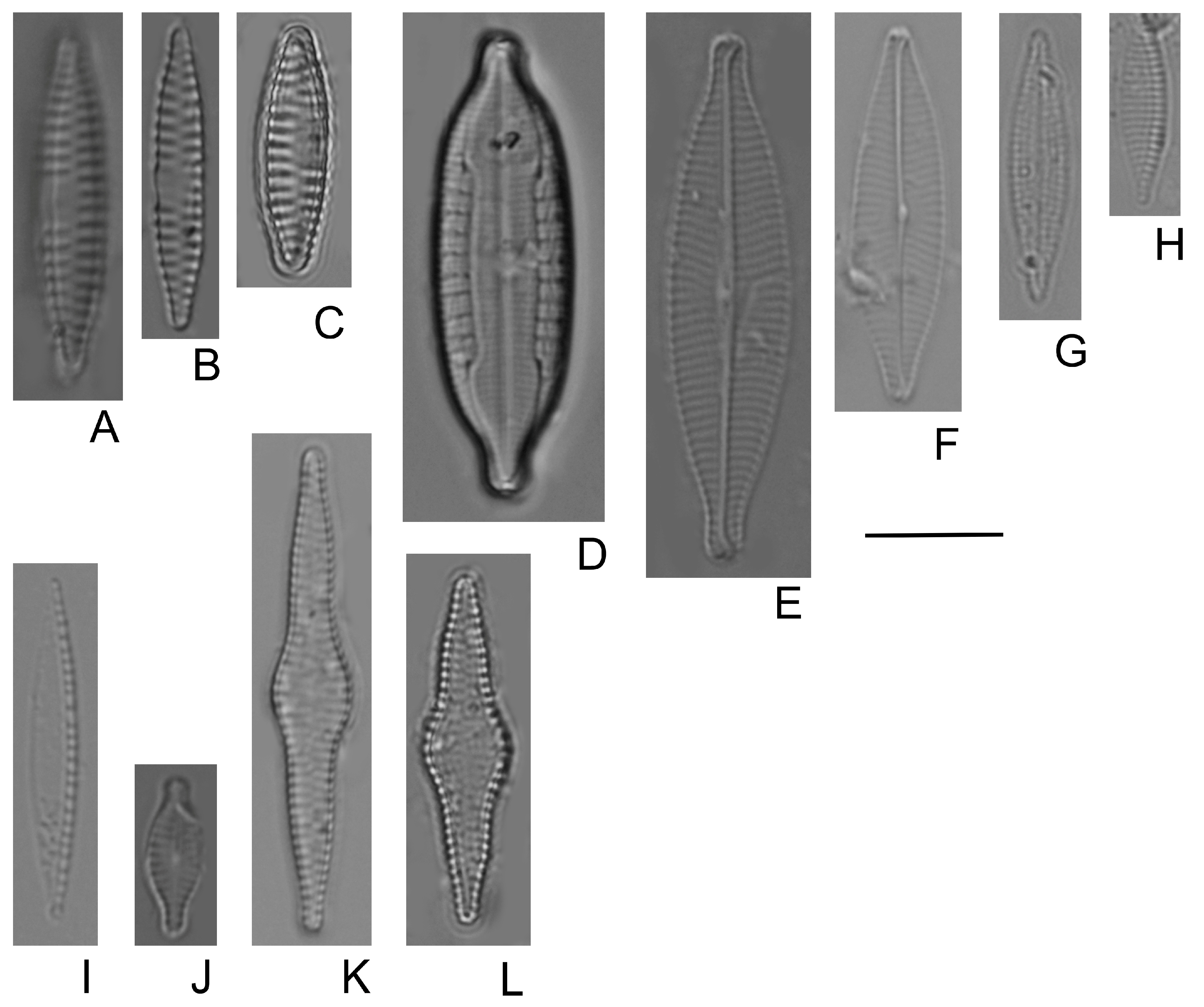 Water 15 02078 g0a4 Water 15 02078 g0a4