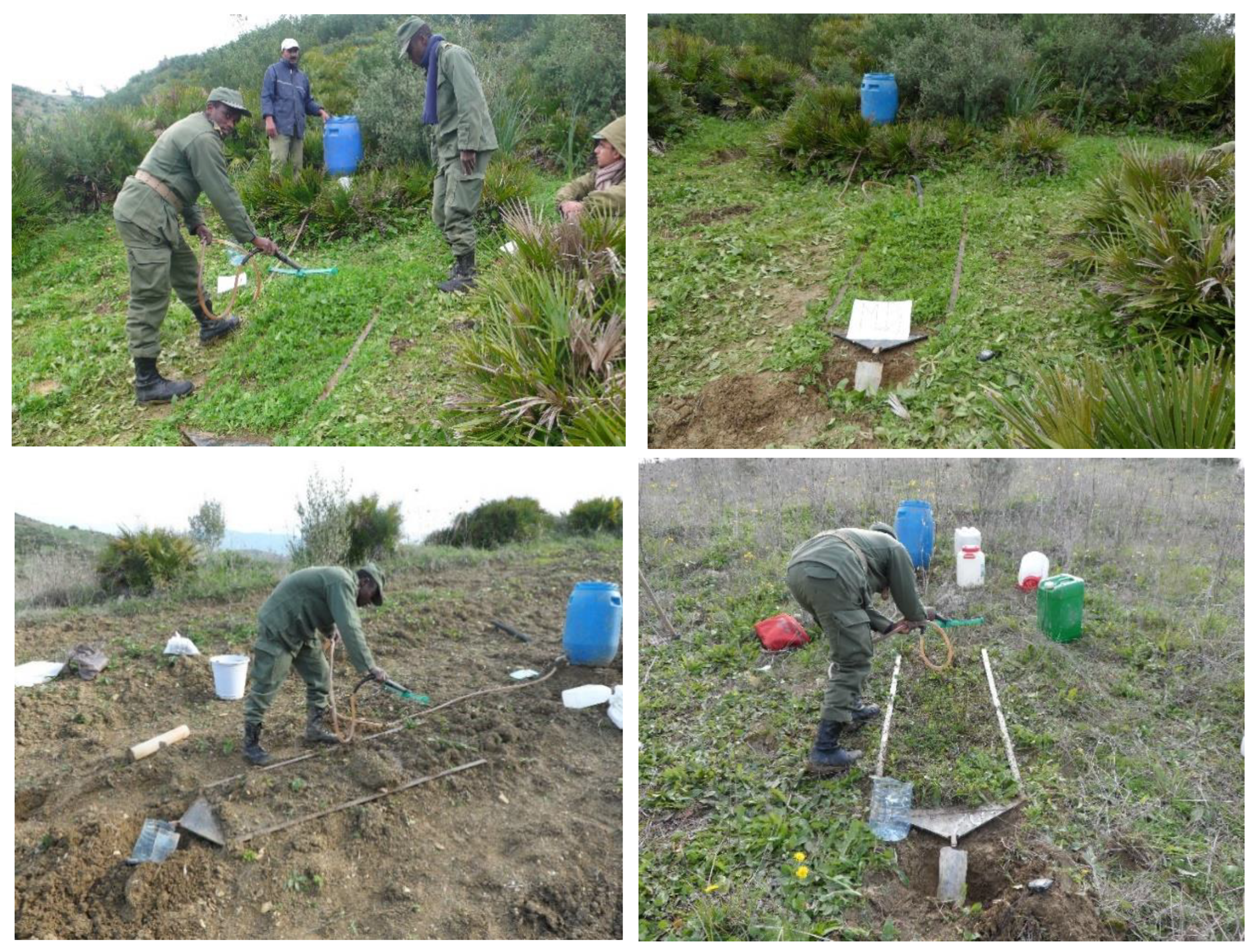 Water 15 02120 g002 Water 15 02120 g002