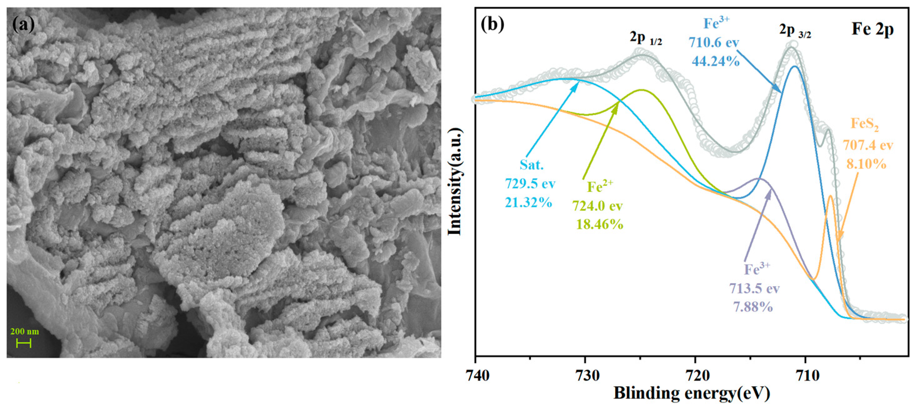 Water 15 02158 g007 Water 15 02158 g007