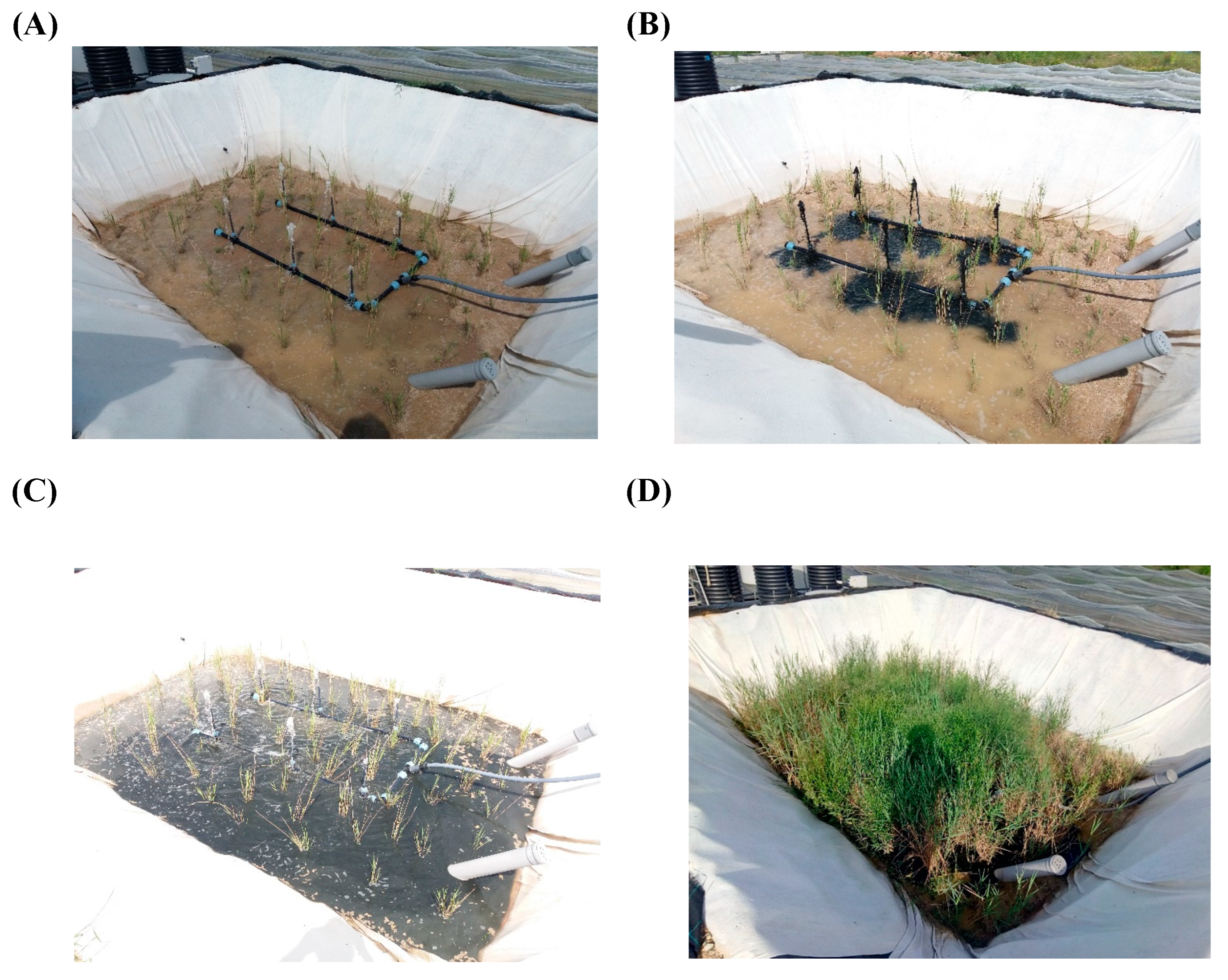 Water 15 02159 g003 Water 15 02159 g003