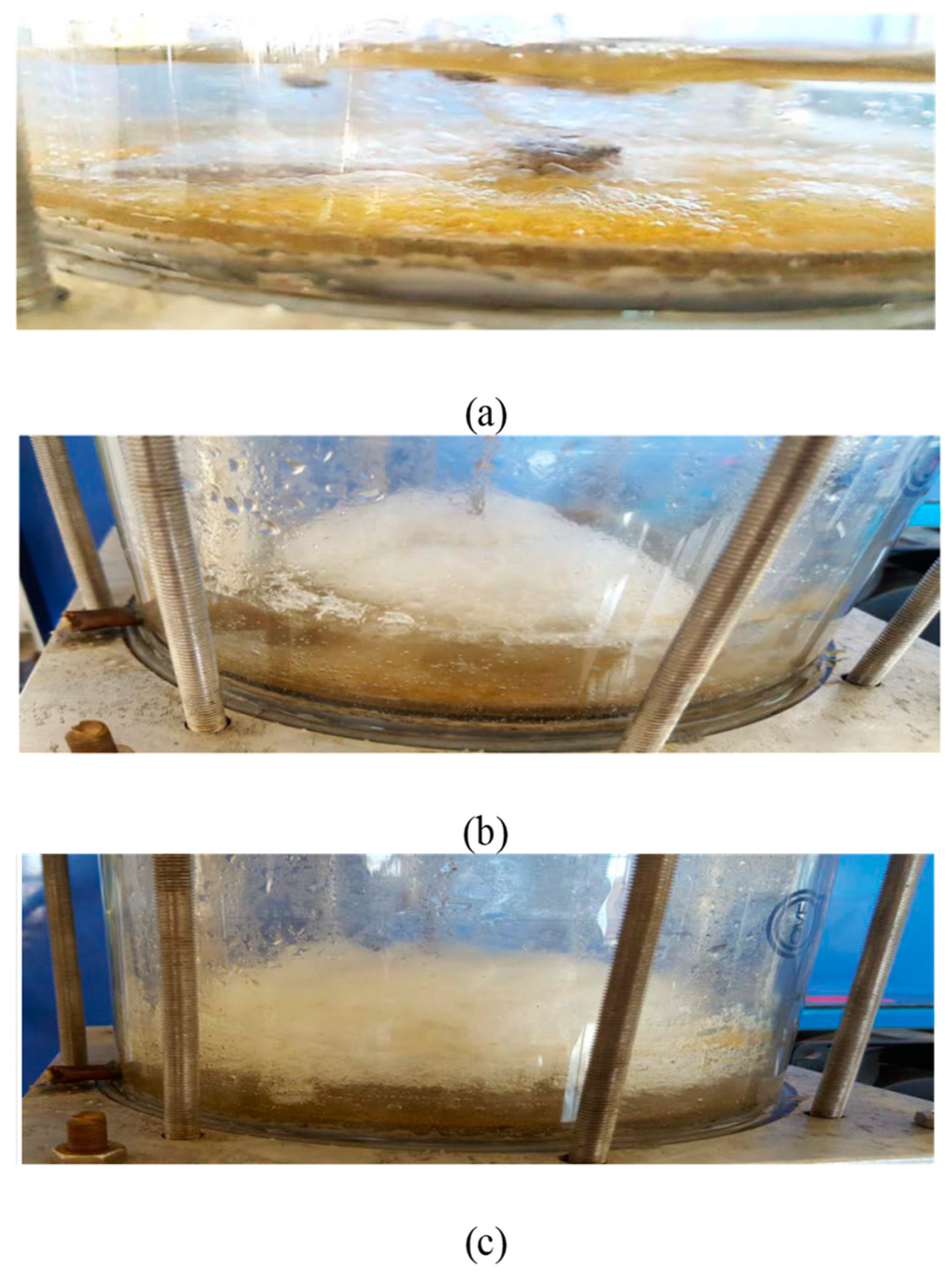 Water 15 02227 g007 Water 15 02227 g007