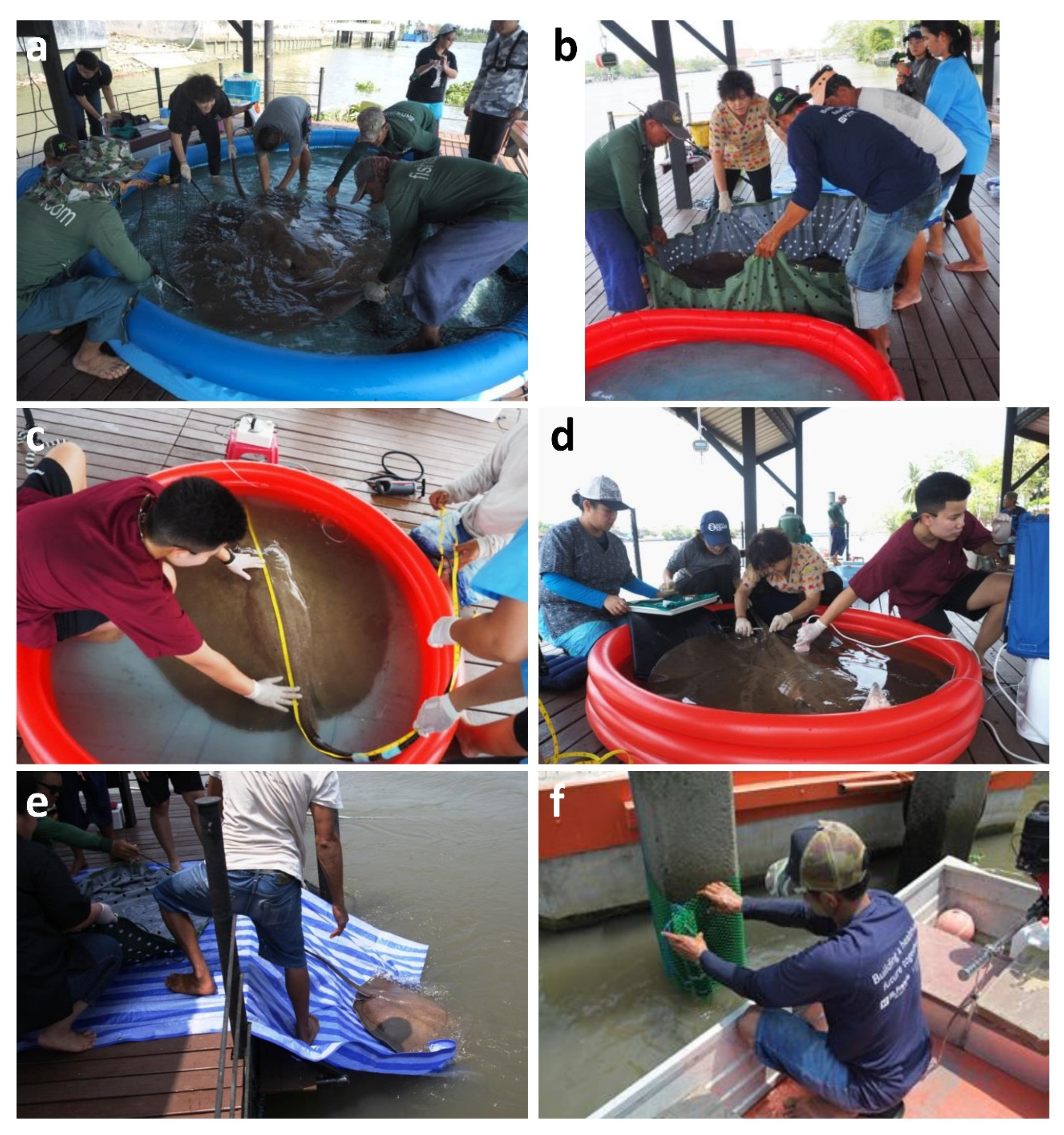 Water 15 02311 g002 Water 15 02311 g002