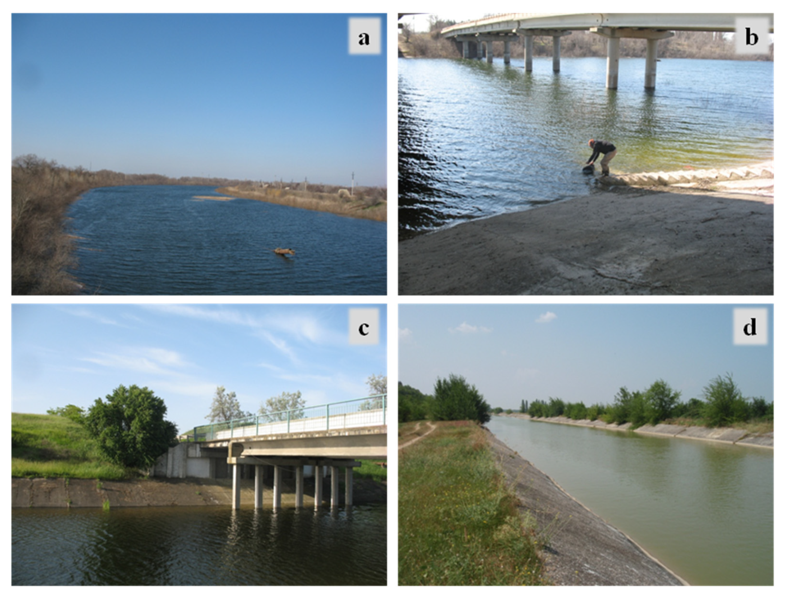 Water 15 02327 g003 Water 15 02327 g003