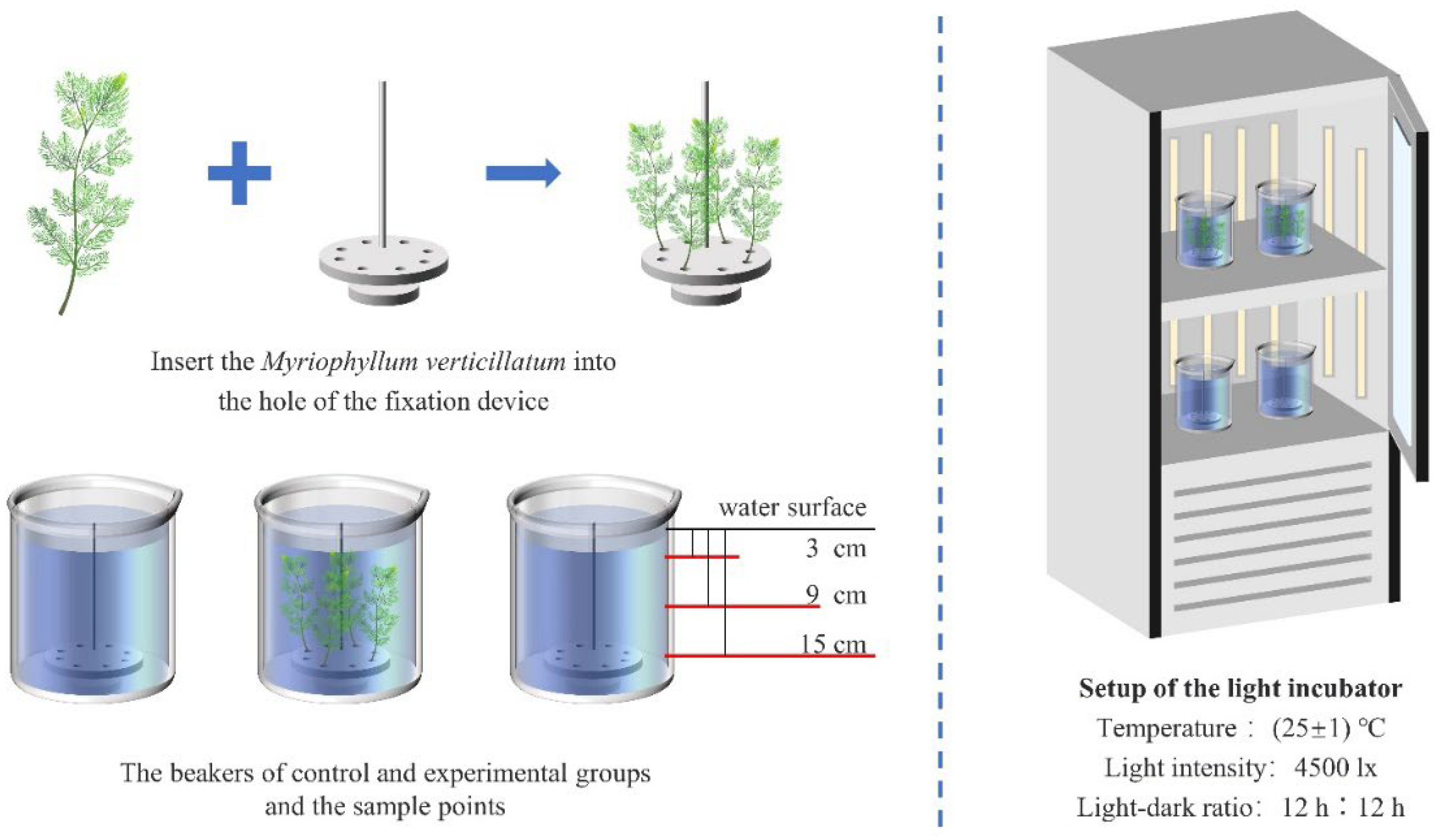 Water 15 02331 g001 Water 15 02331 g001