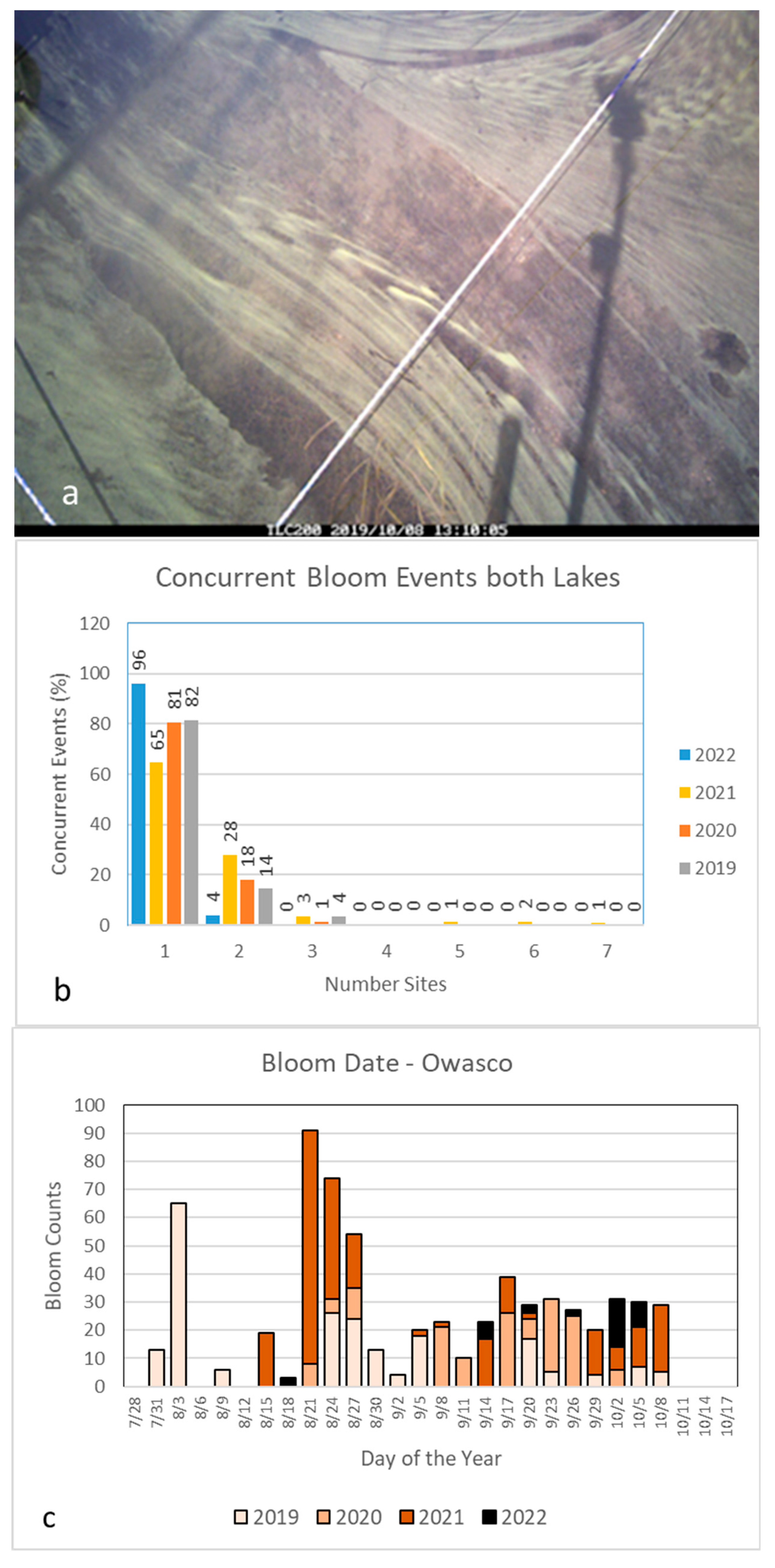 Water 15 02363 g003a Water 15 02363 g003a