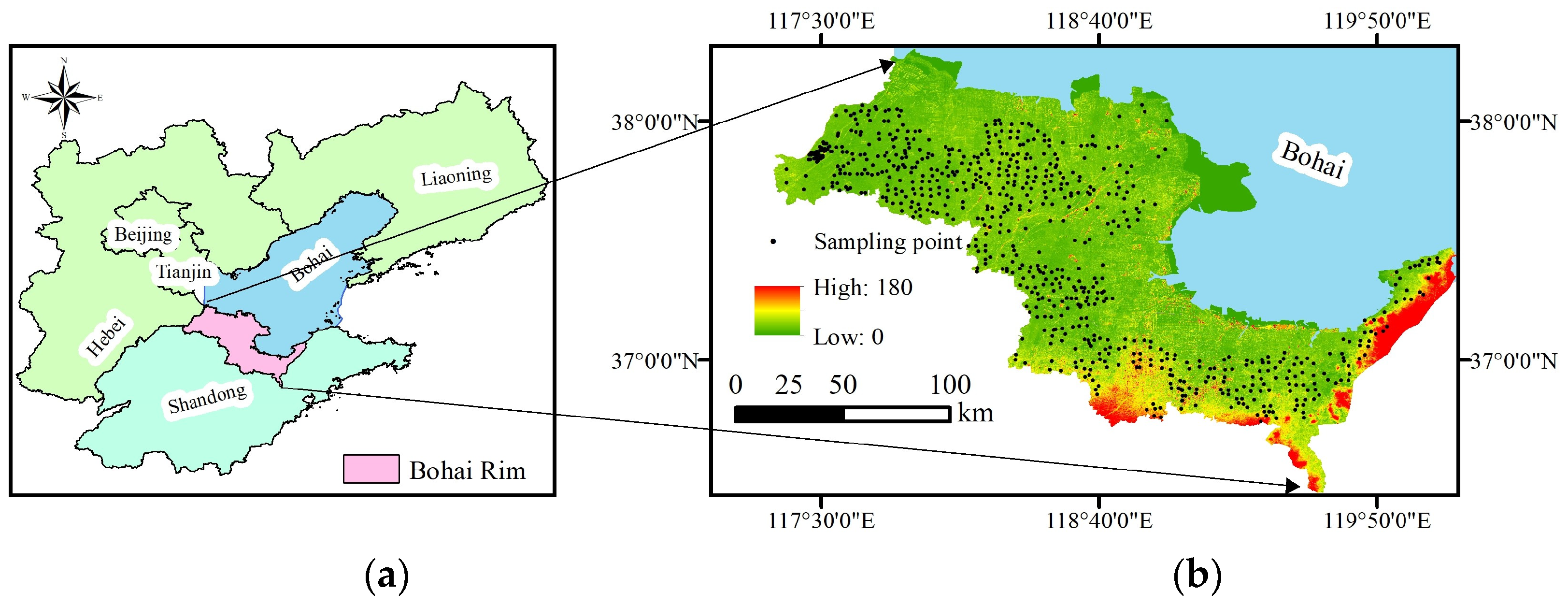 Temporal and Spatial Characteristics of Soil Salinization