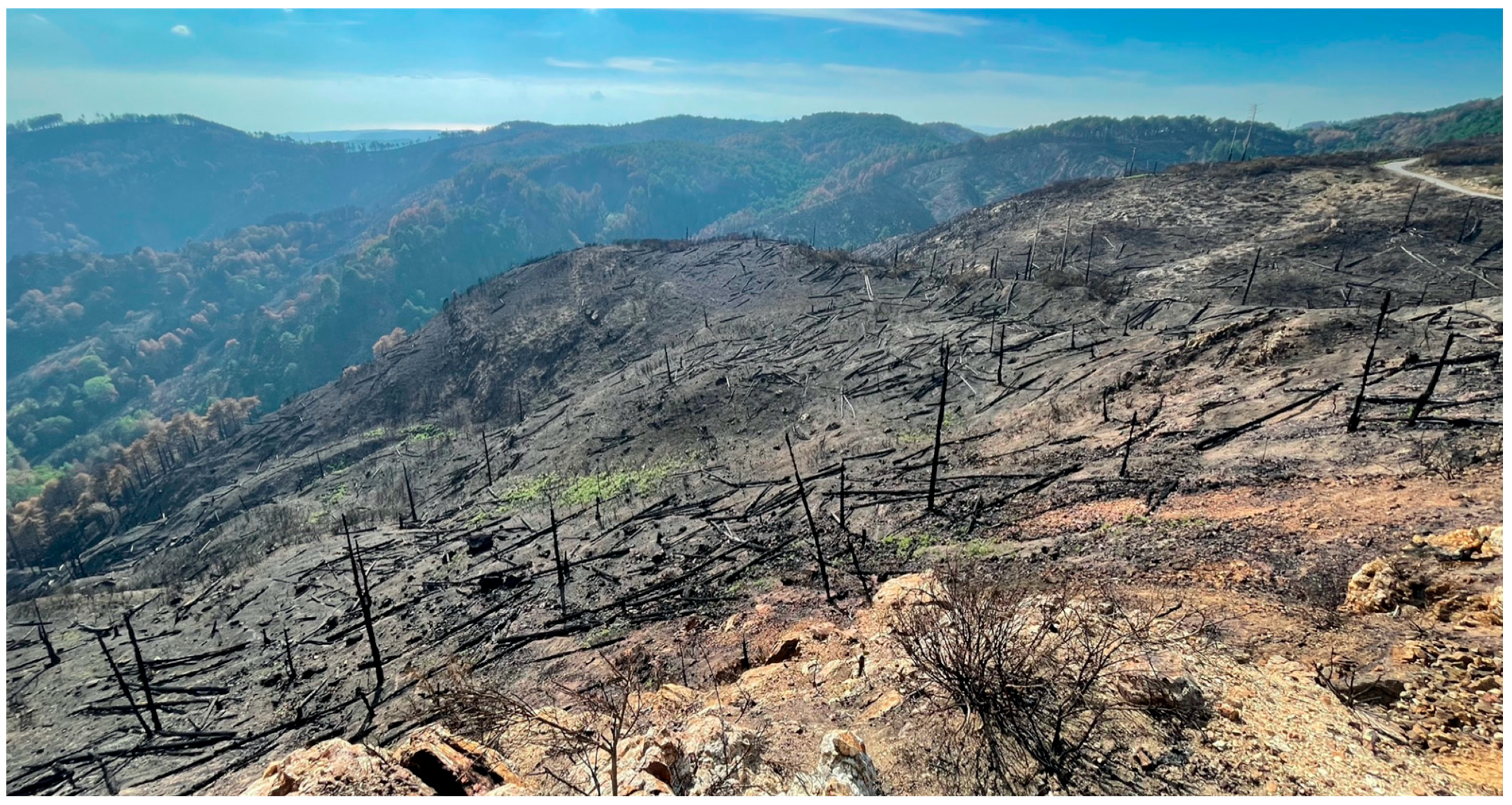 Water 15 02378 sch001